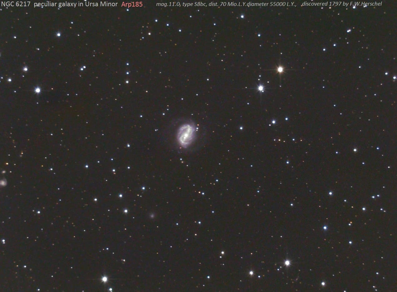 NGC 6217  Balkenspirale in Ursa Minor