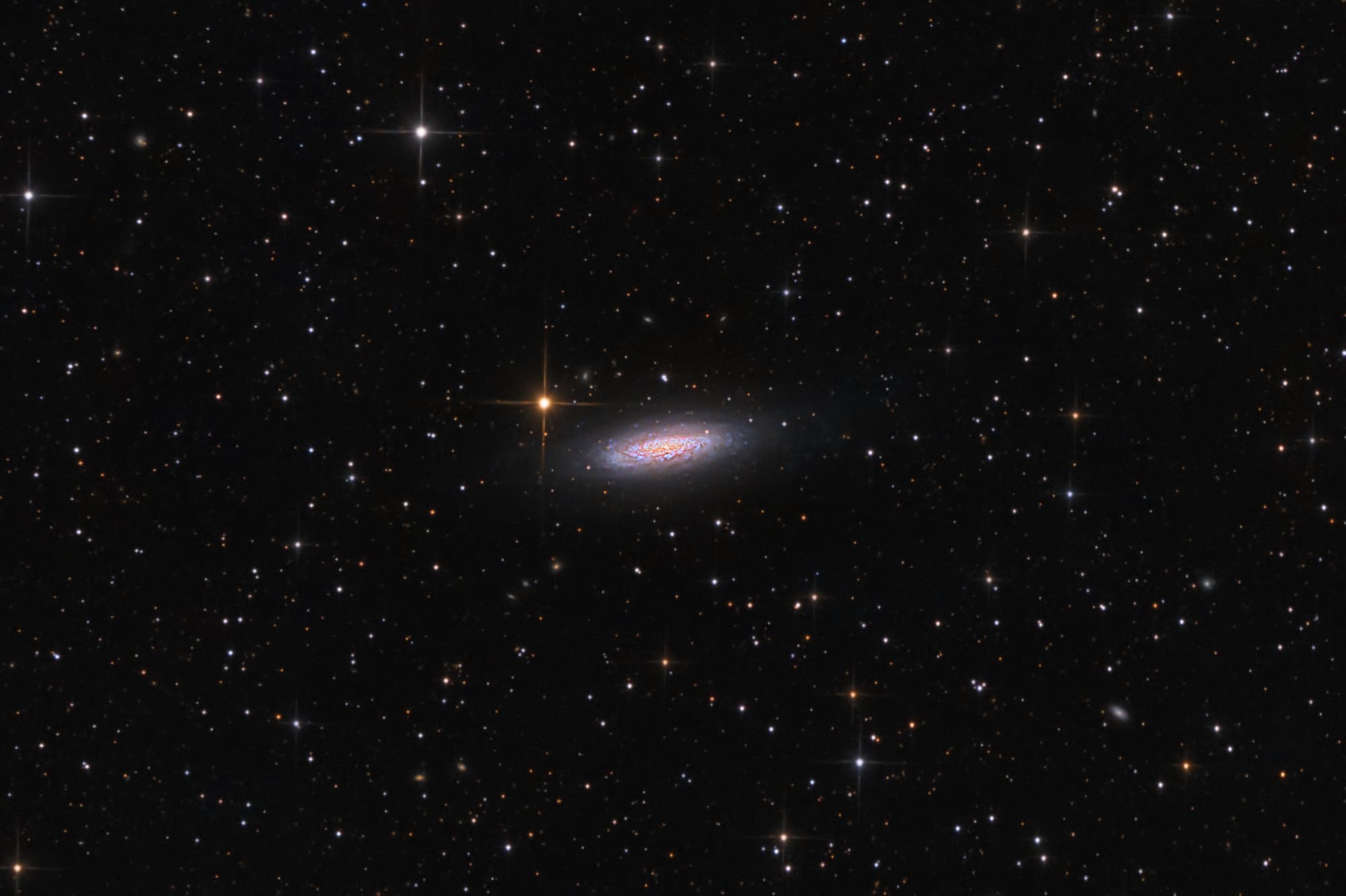 Lost in Space Galaxy - NGC 6503