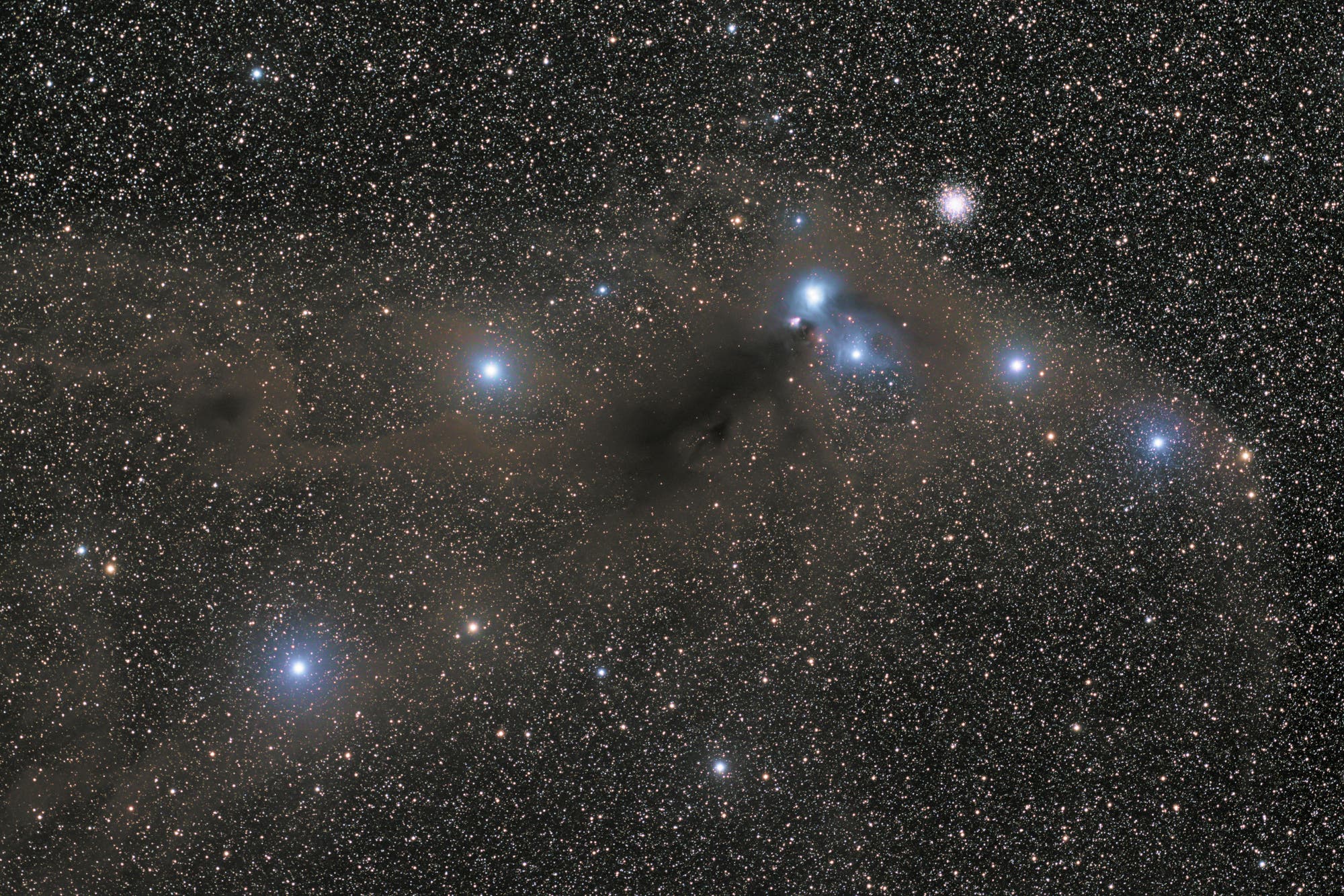 Reflexionsnebel NGC 6729/26/27 und Dunkelwolken