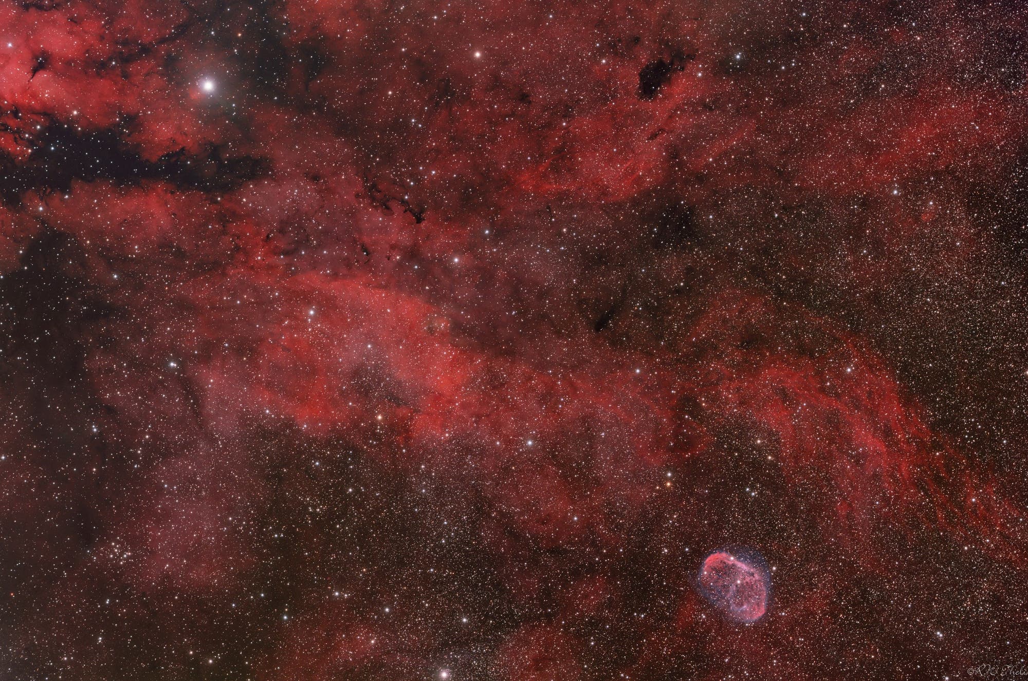 NGC 6888 im weiten Feld