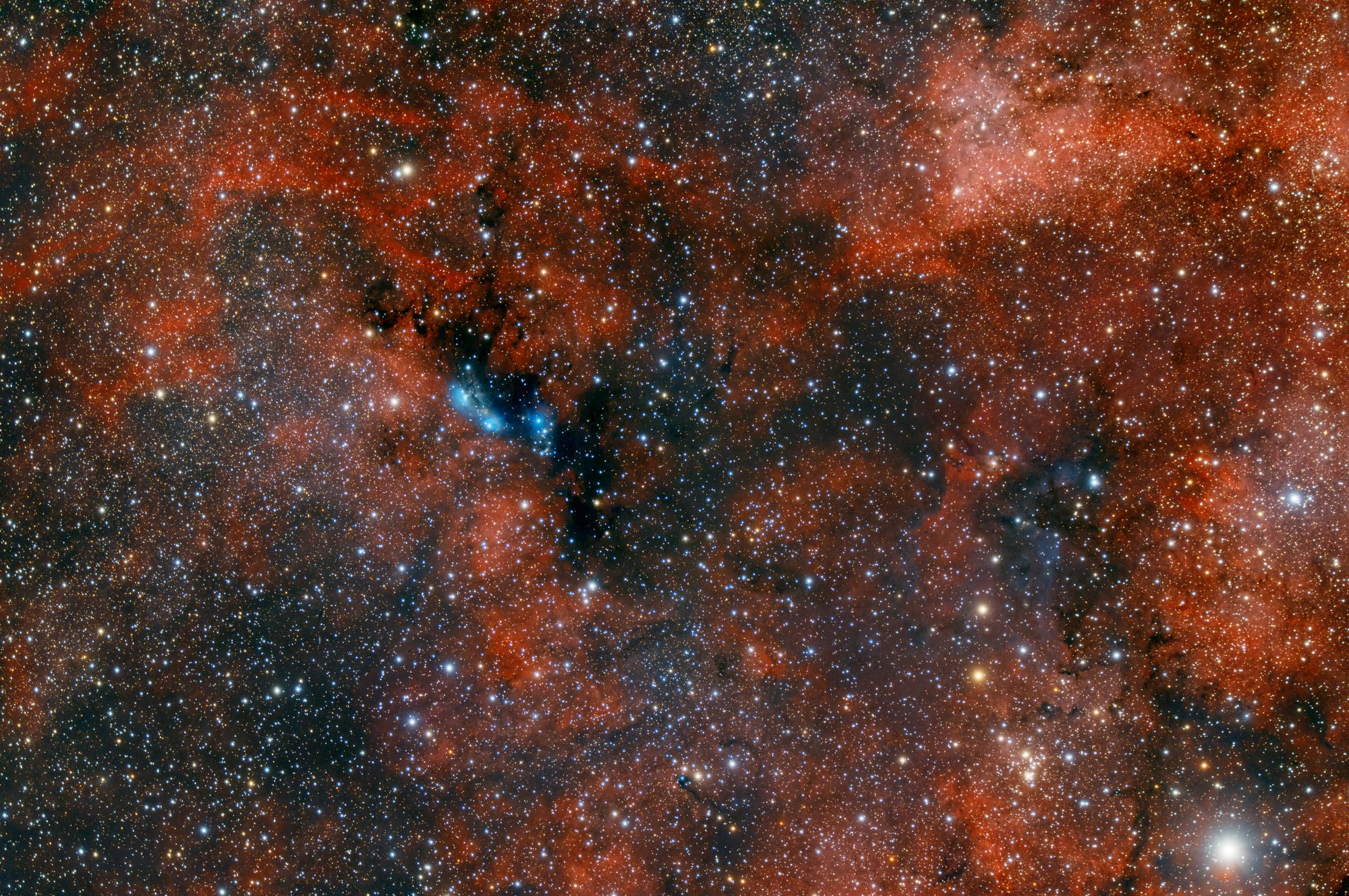NGC6914 und Sadr-Region
