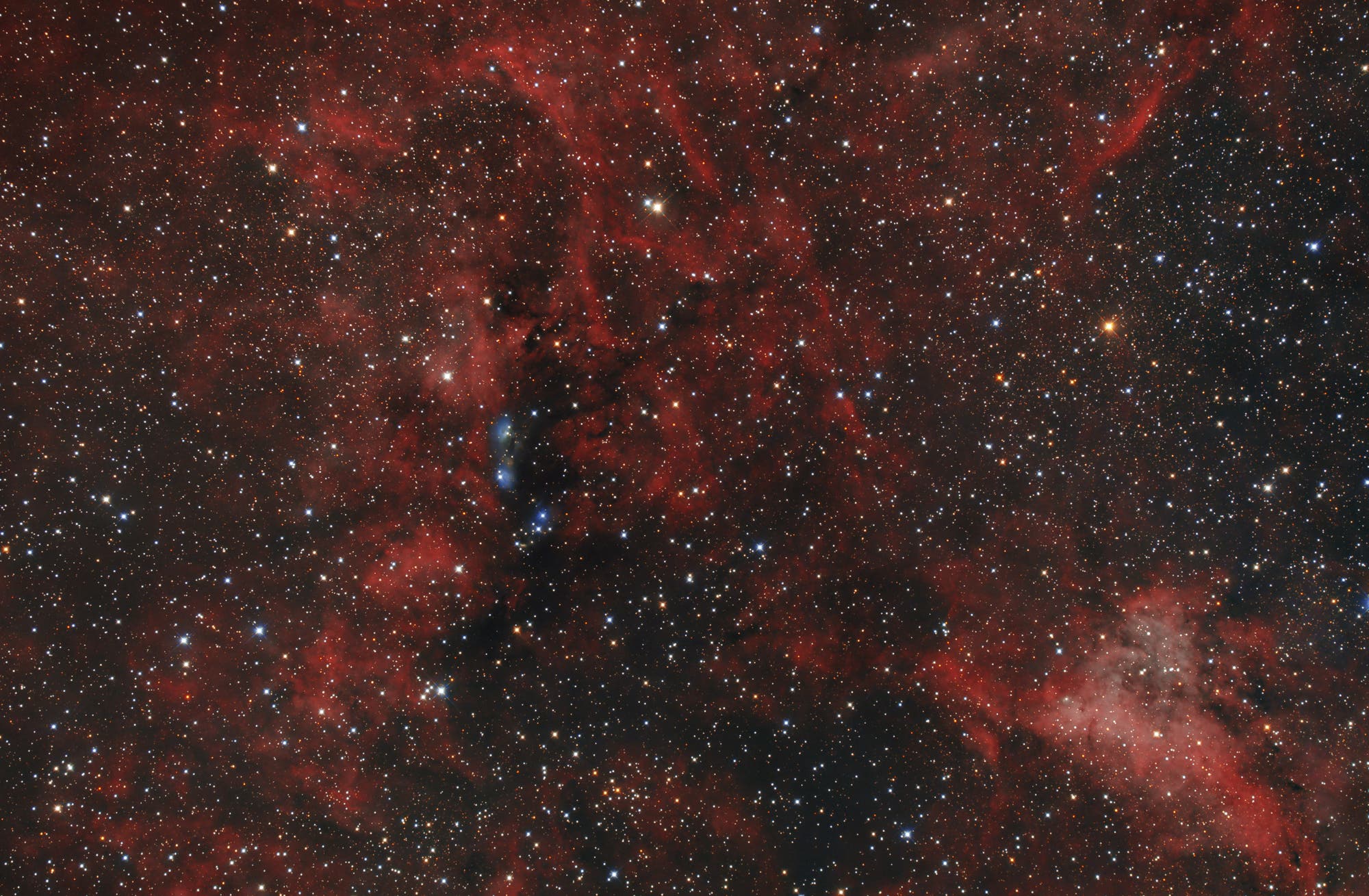 Reflexionsnebel NGC 6914