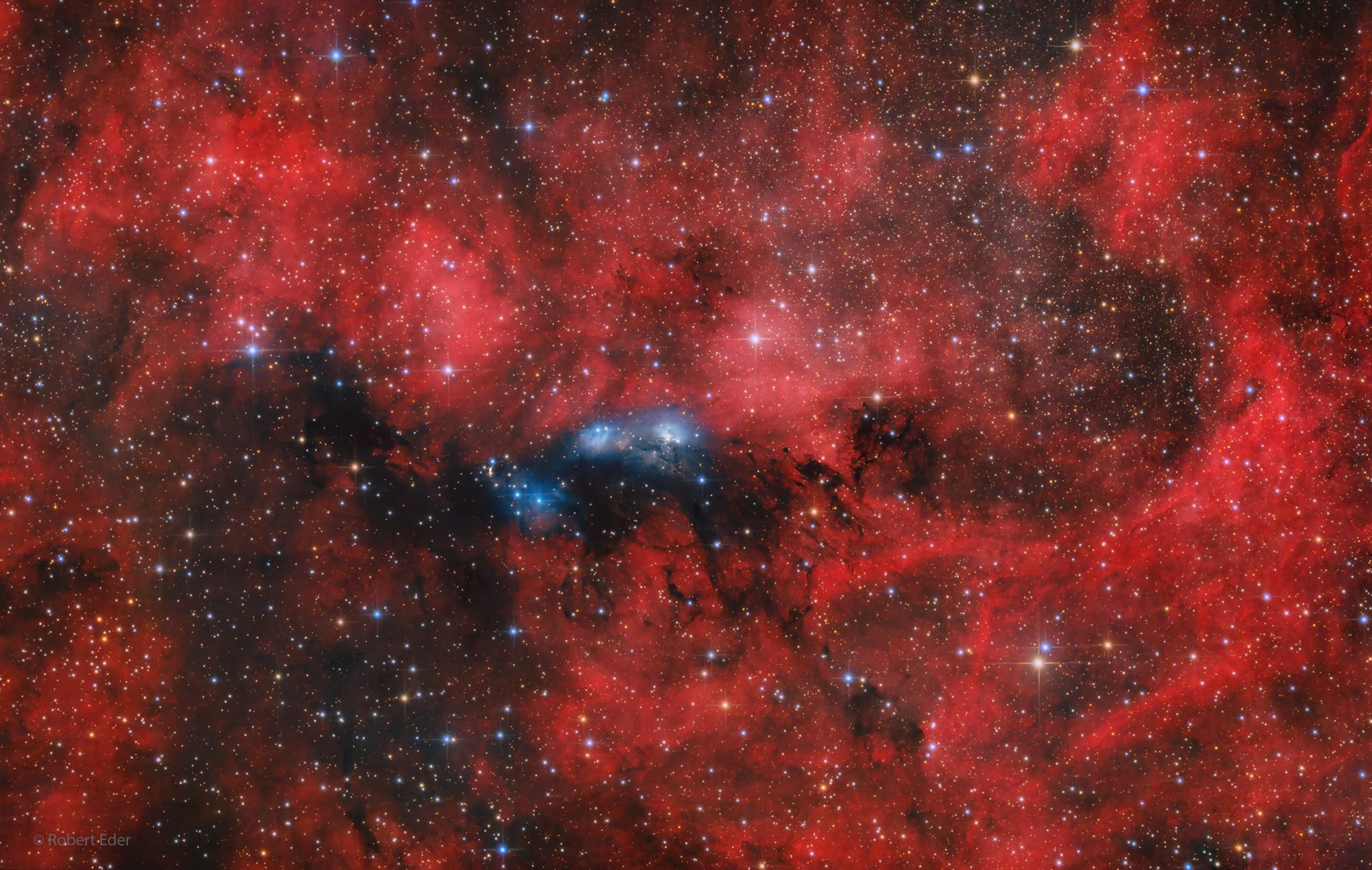 NGC 6914 – Sternengeburten im Schwan