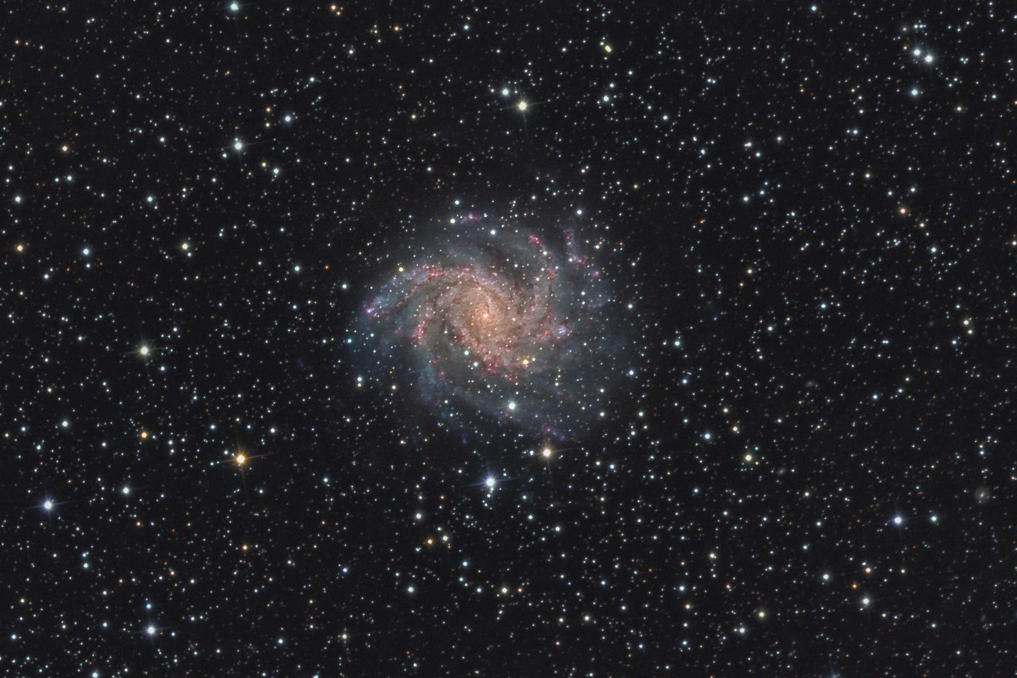 NGC 6946 Feuerwerk-Galaxie