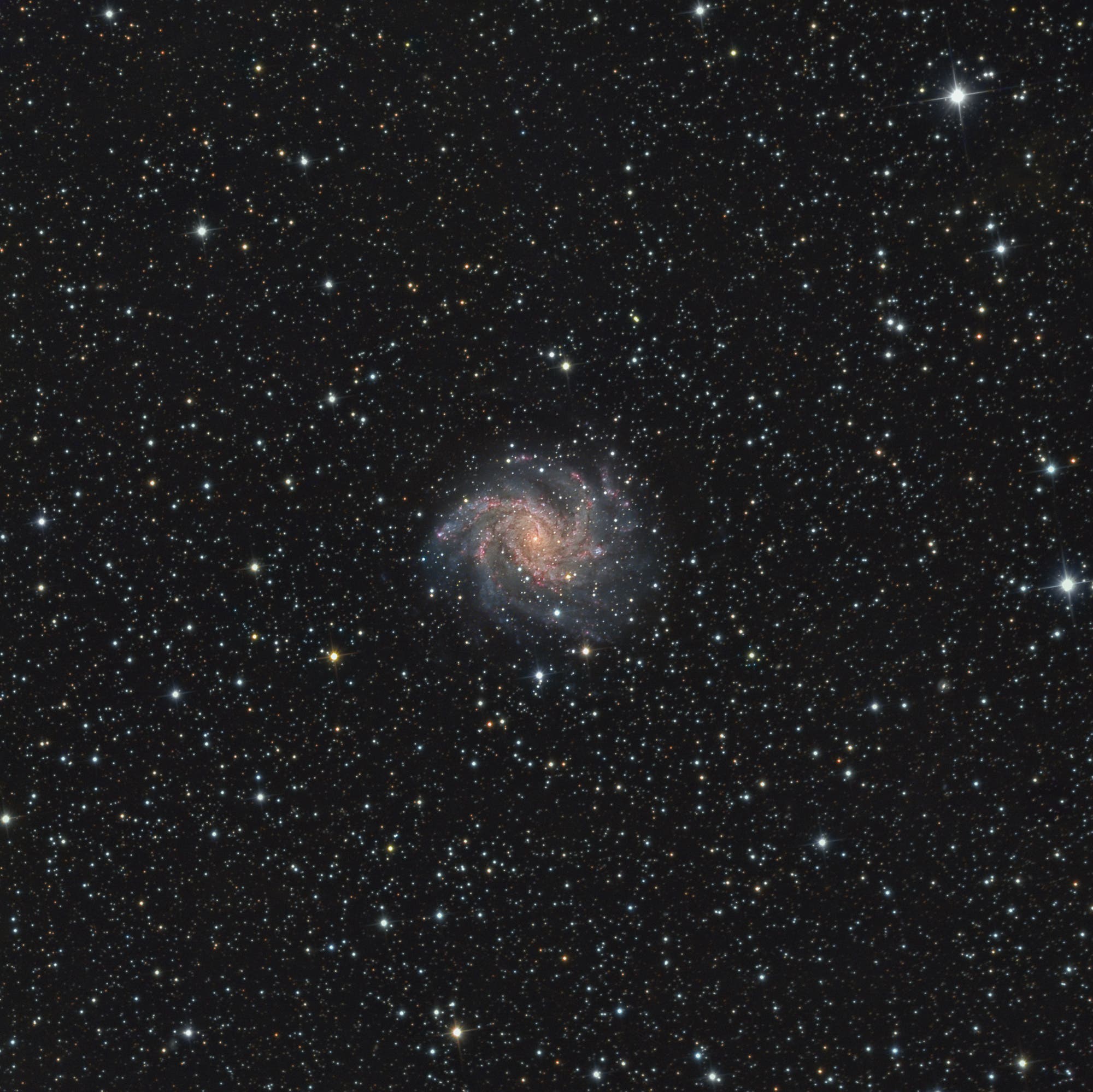 NGC 6946 - Feuerwerk-Galaxie in der Übersicht