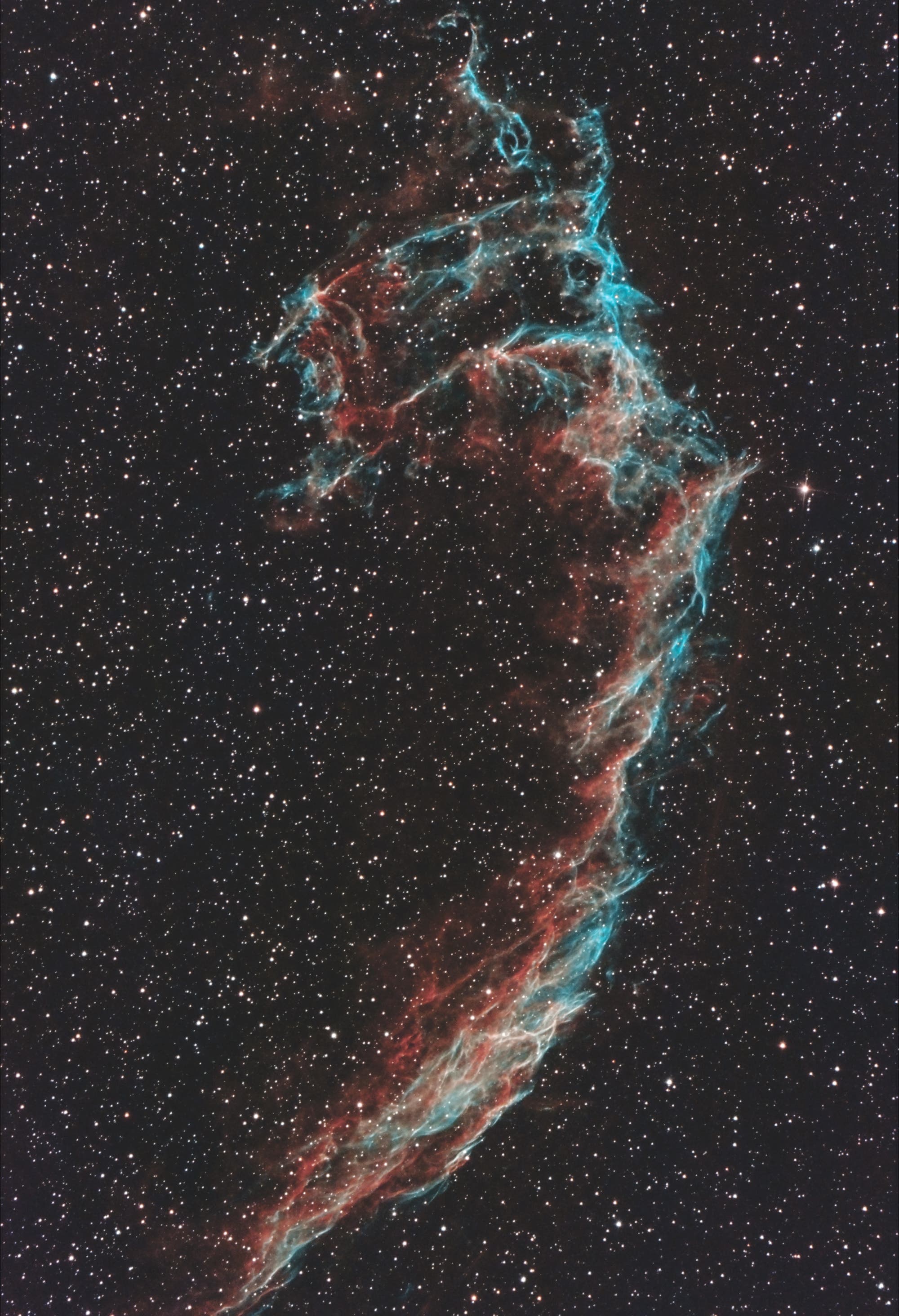 NGC 6995 
