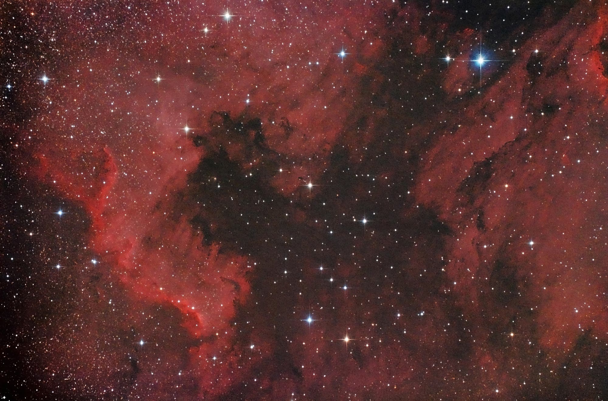 NGC 7000 und IC 5067 oder ein Pelikan trifft auf Nordamerika