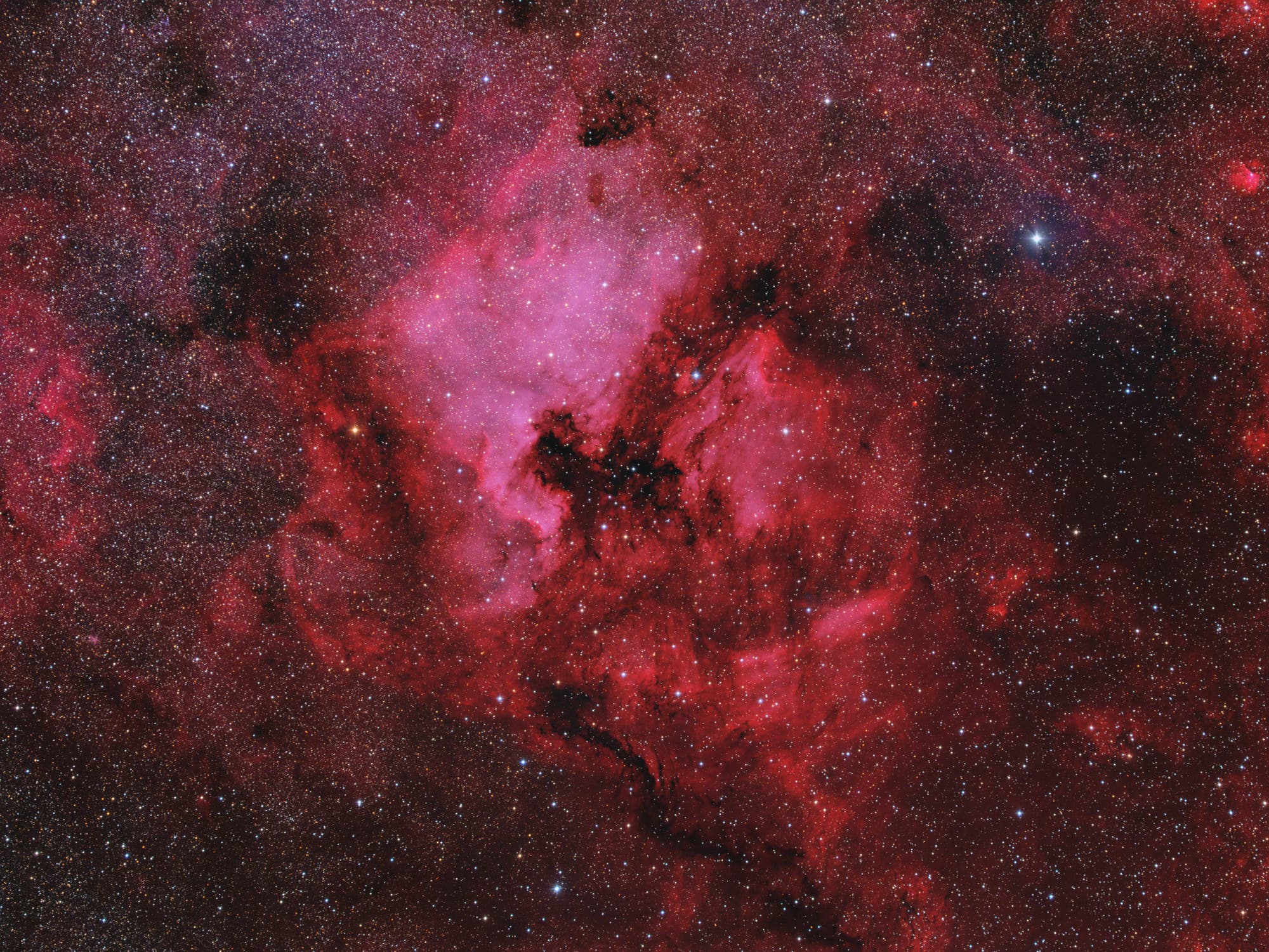 La región alrededor de NGC 7000/IC 5070