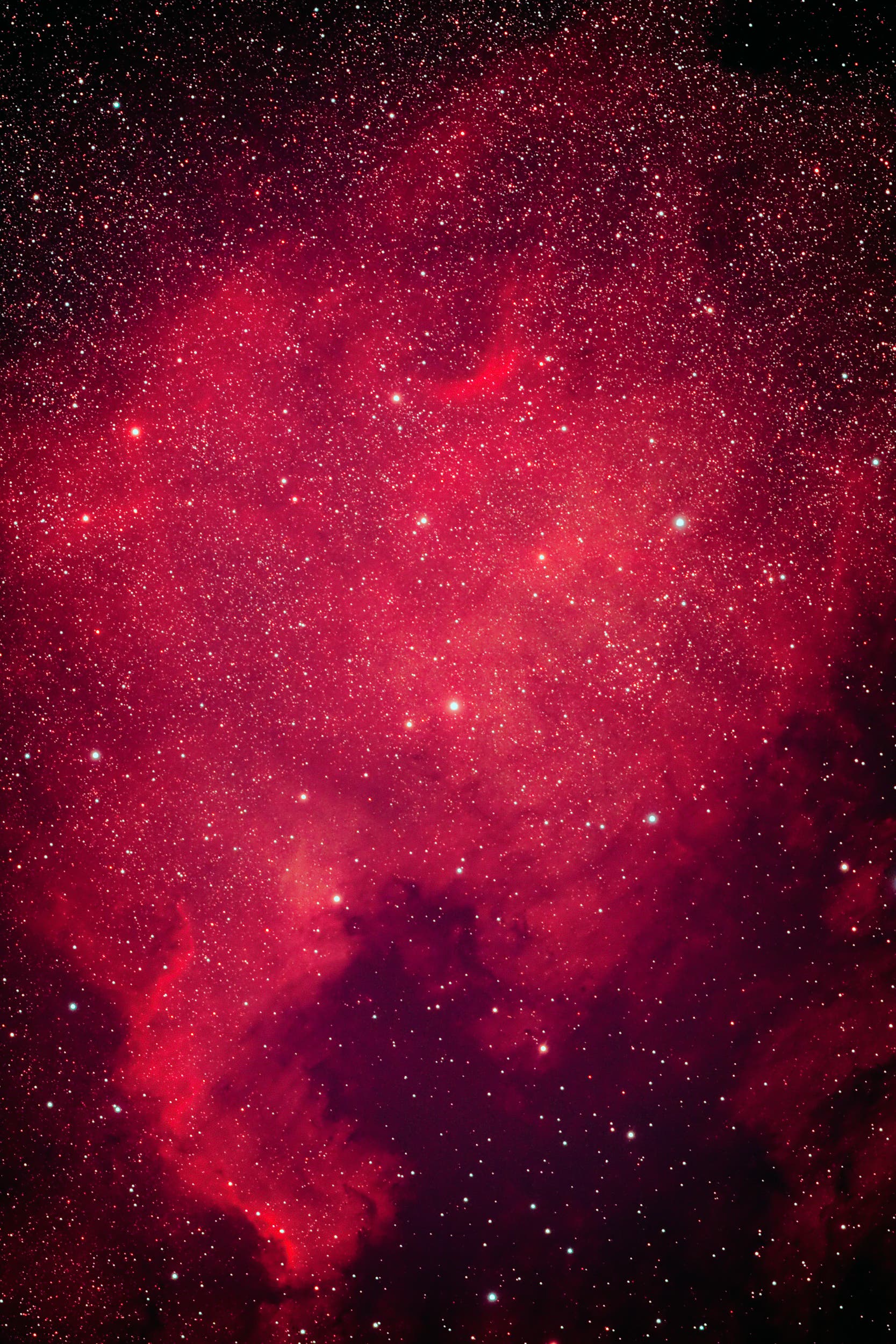 Nordamerikanebel NGC 7000