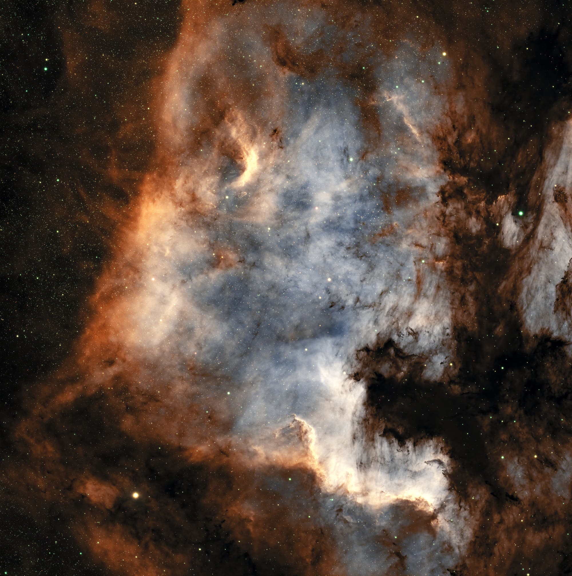 Der Nordamerikanebel NGC 7000 