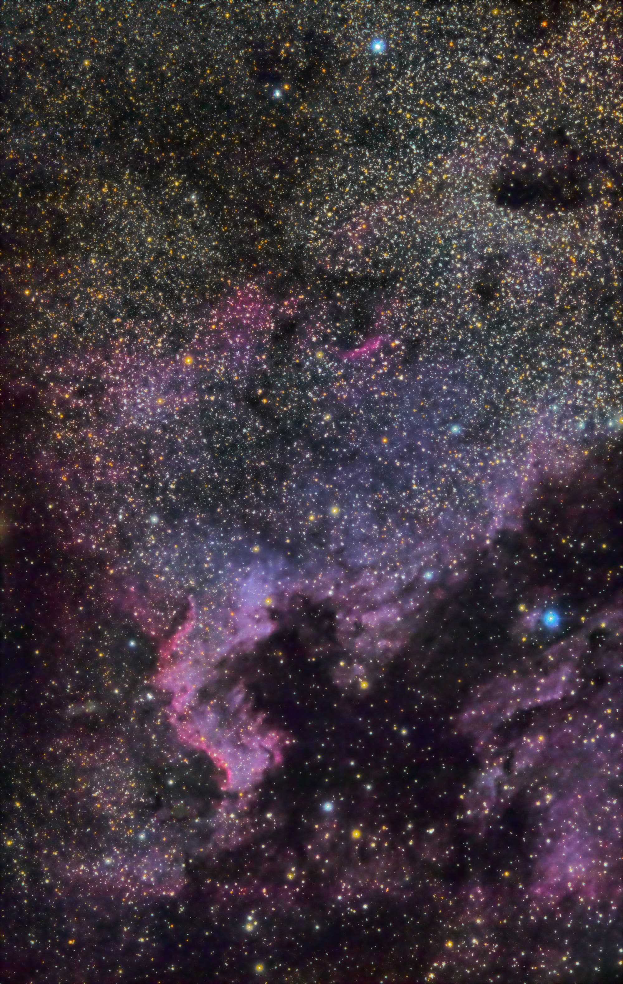NGC 7000 Nordamerikanebel und IC 5067 Pelikannebel