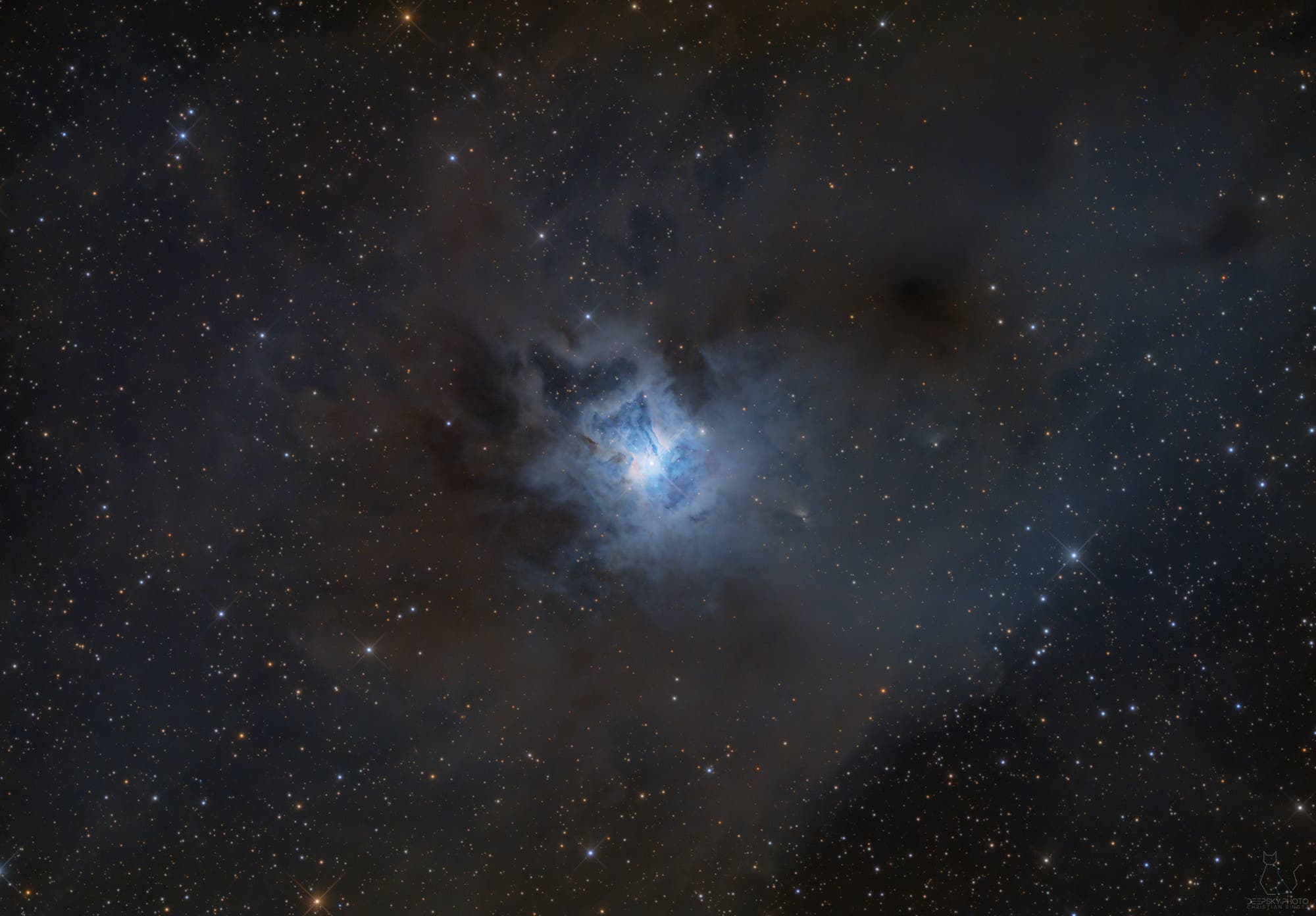 NGC 7023 / Irisnebel