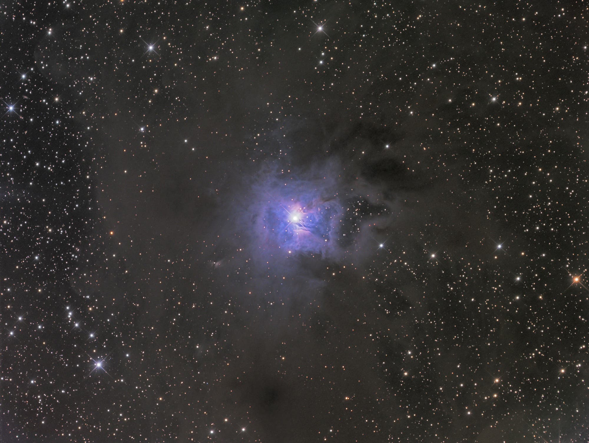 NGC 7023, Irisnebel