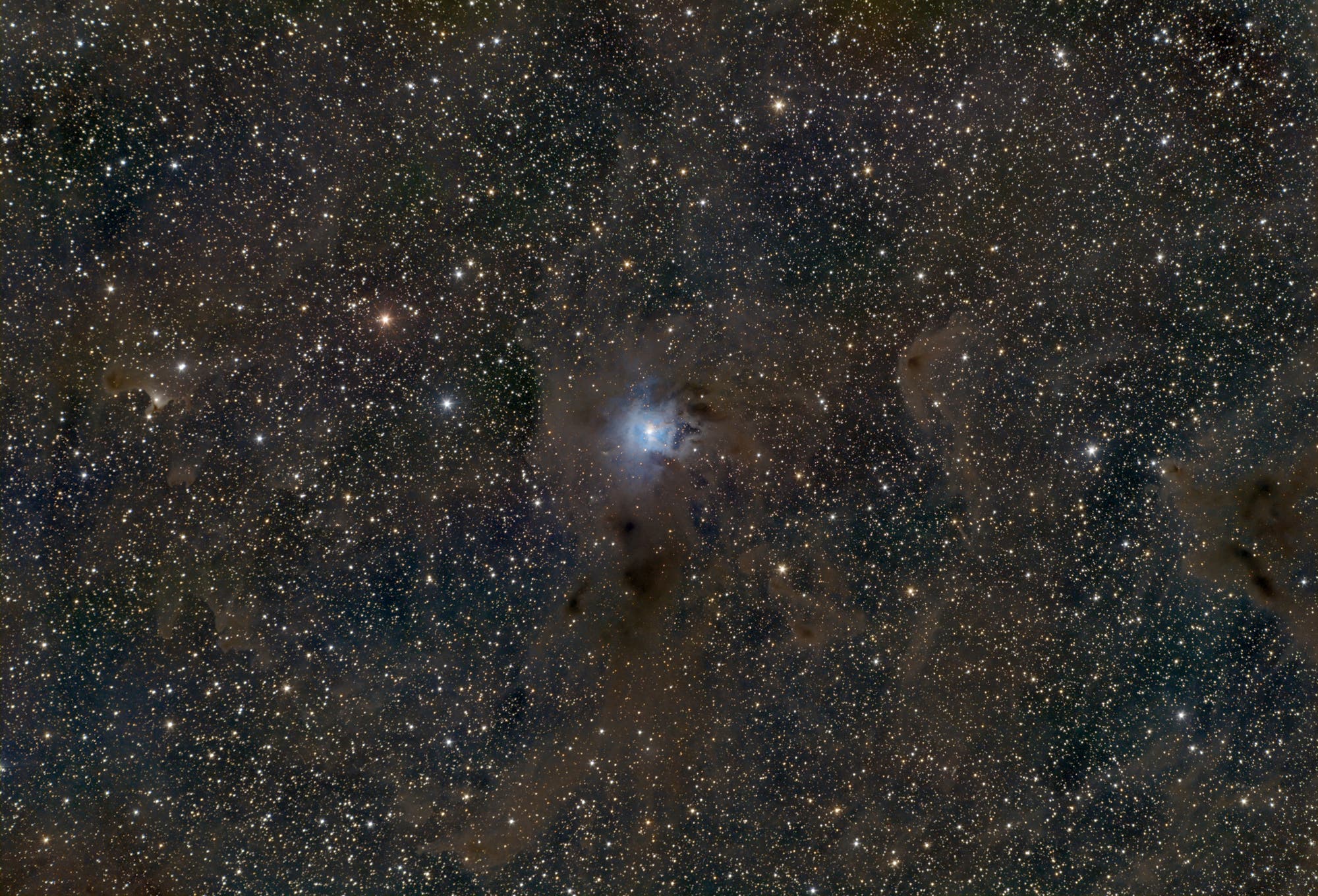 Feld um den Irisnebel, NGC 7023
