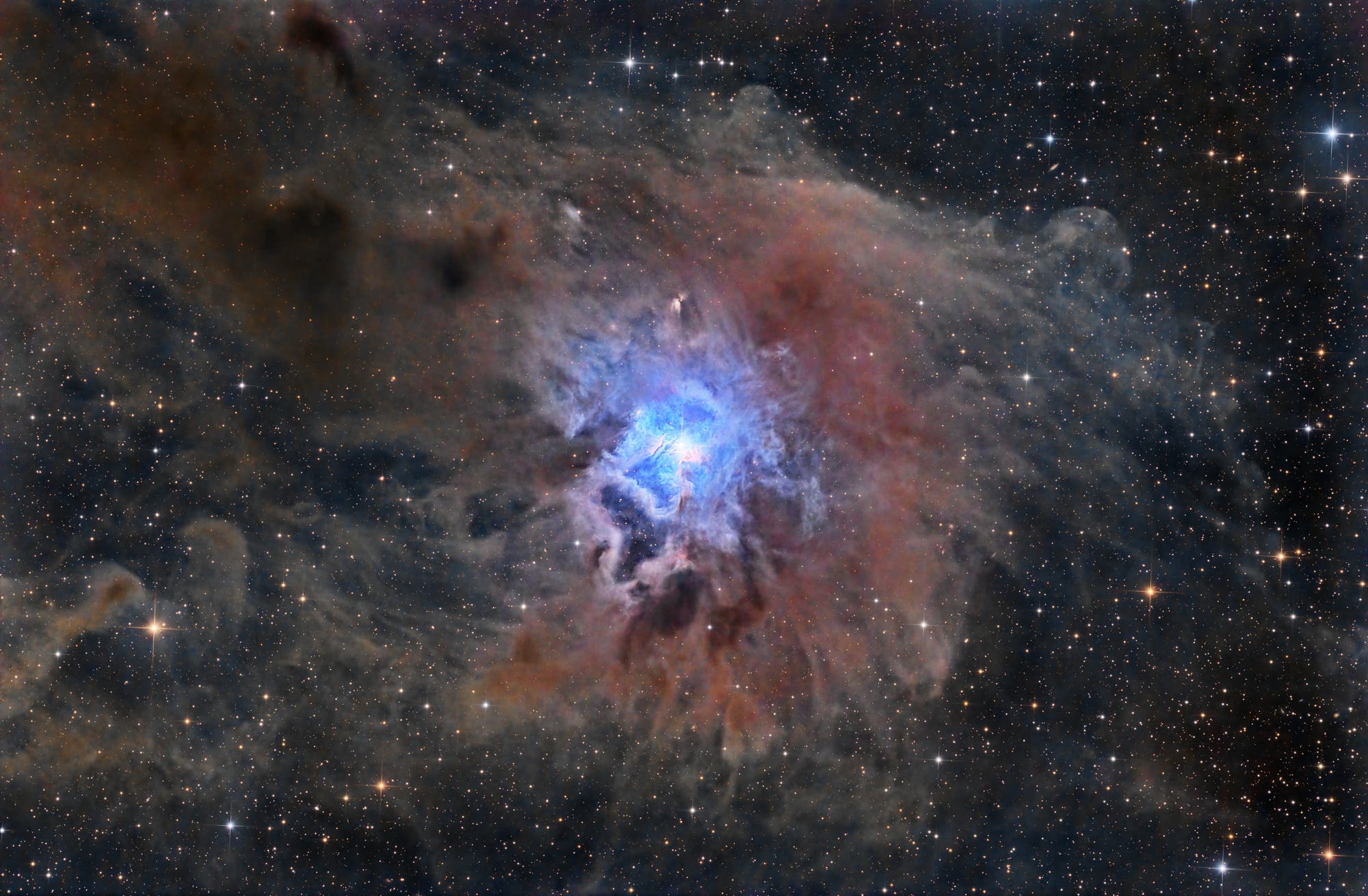 NGC 7023 - Irisnebel