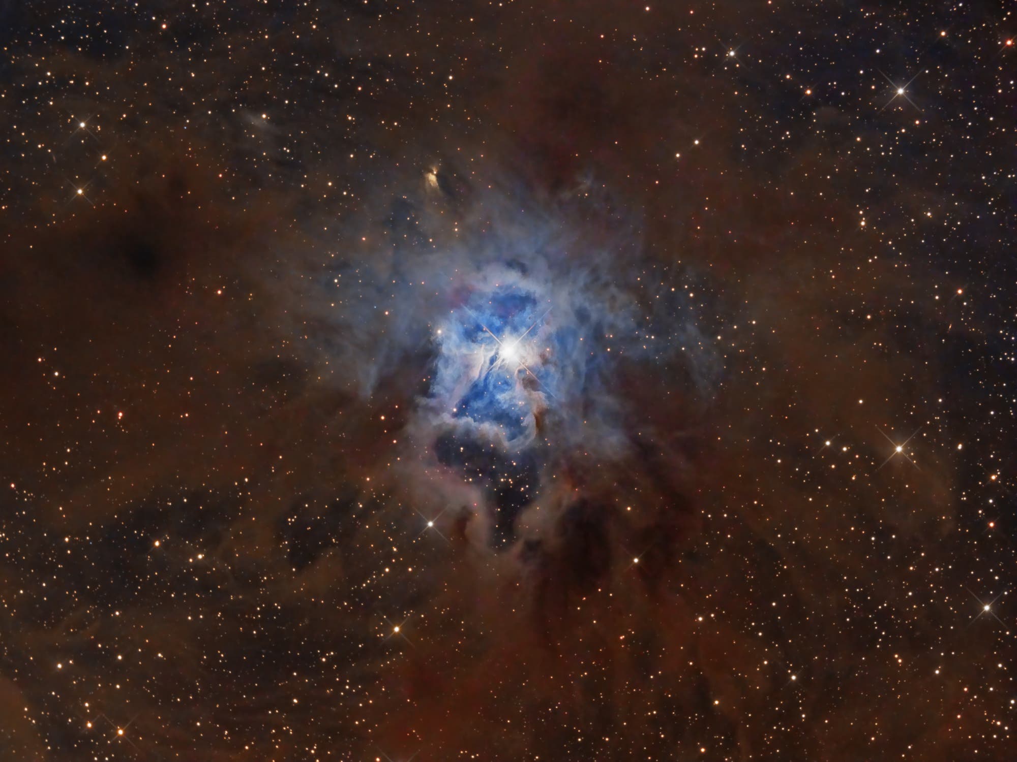 NGC 7023 und der Irisnebel