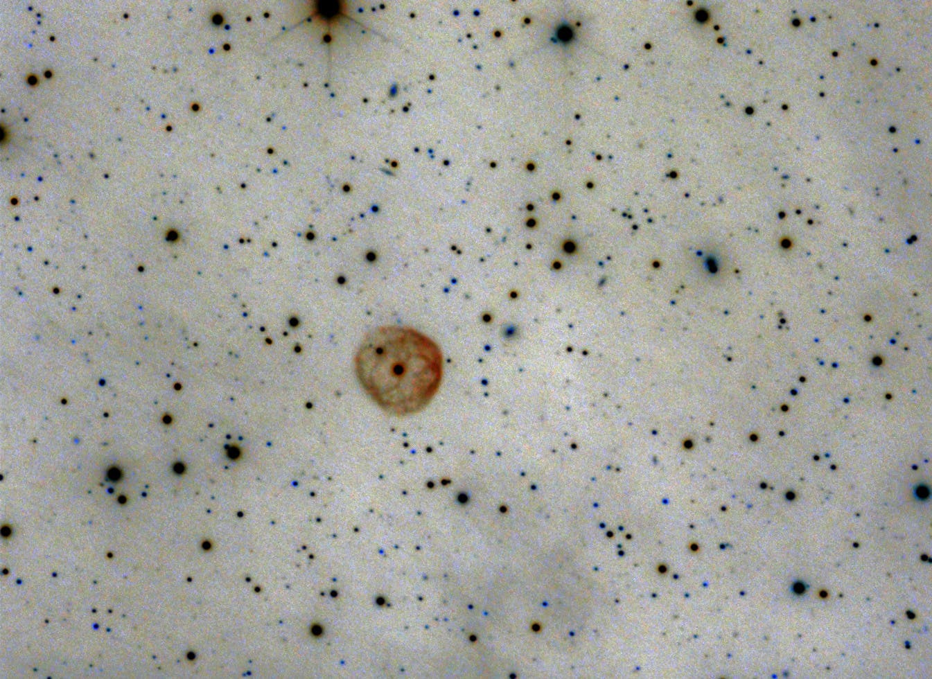 NGC 7094 Planetarischer Nebel (invers)