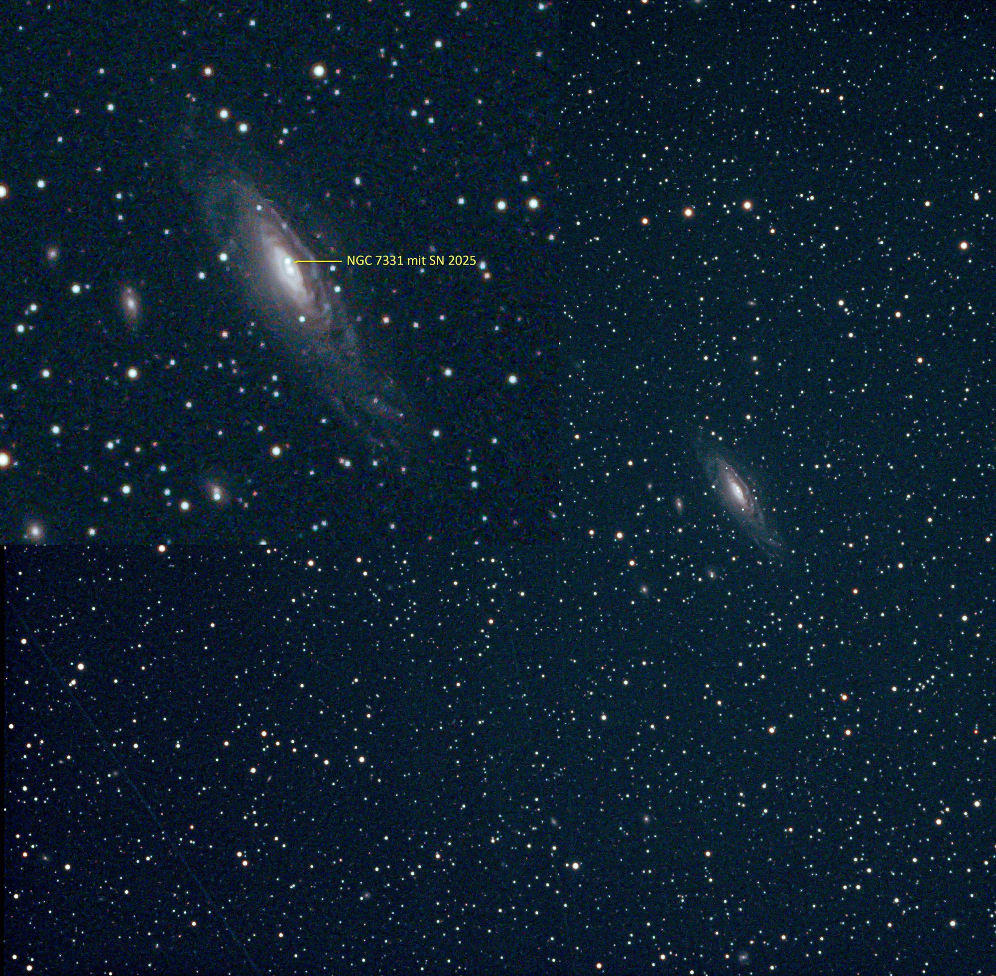 Supernova in NGC 7331