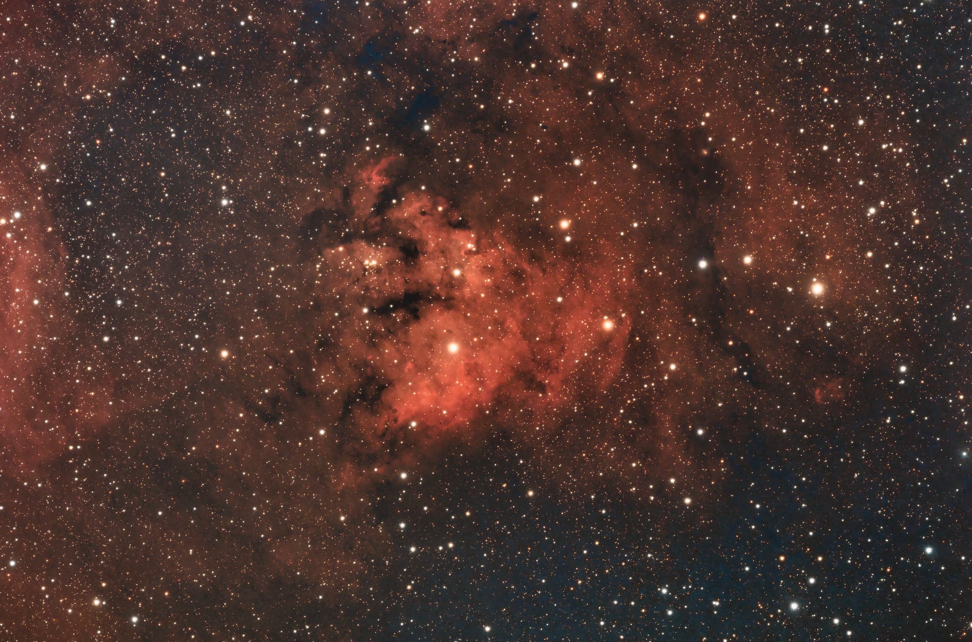 NGC 7822 im Sternbild Kepheus