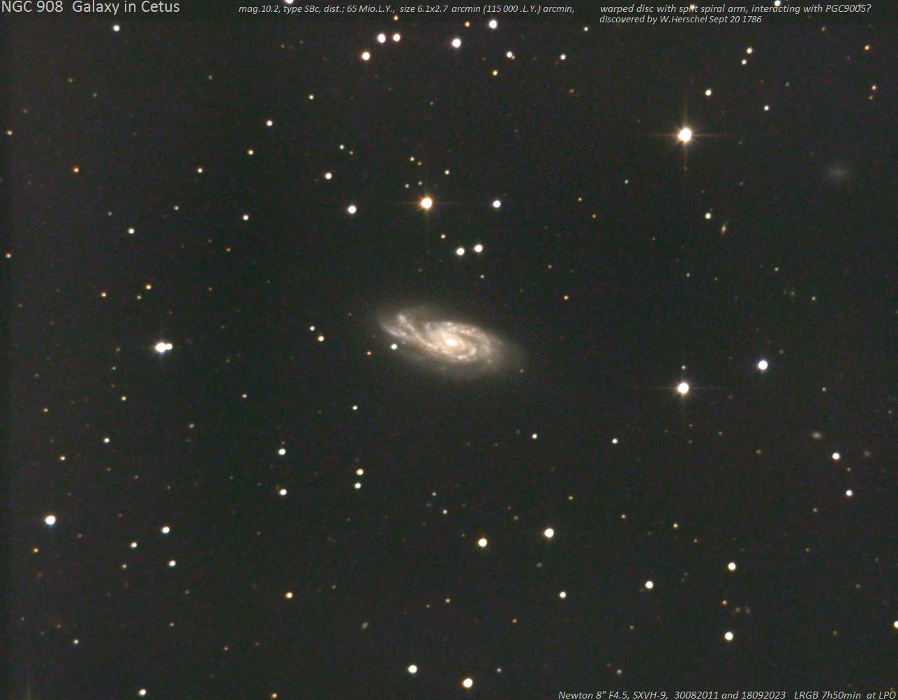 NGC 908: helle asymmetrische Galaxie im Walfisch   
