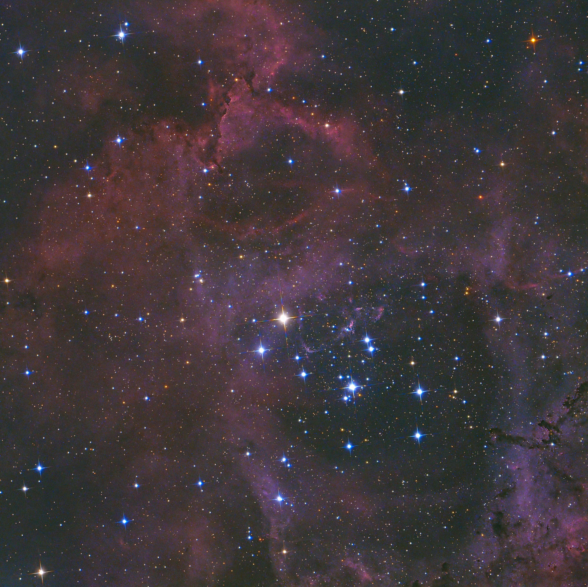 NGC 2244