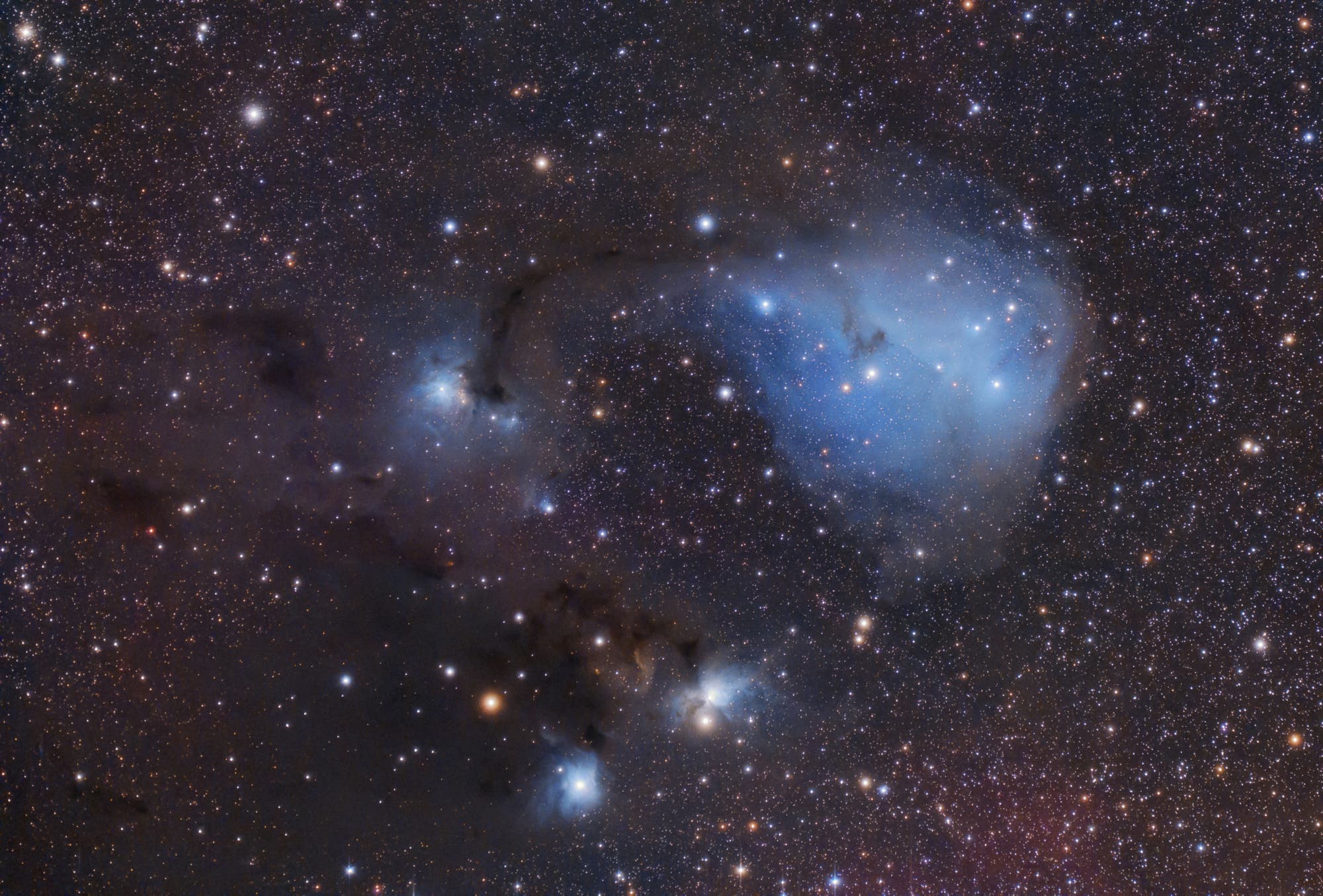 IC 2169, IC 446, NGC 2245 und NGC 2247 im Sternbild Monoceros