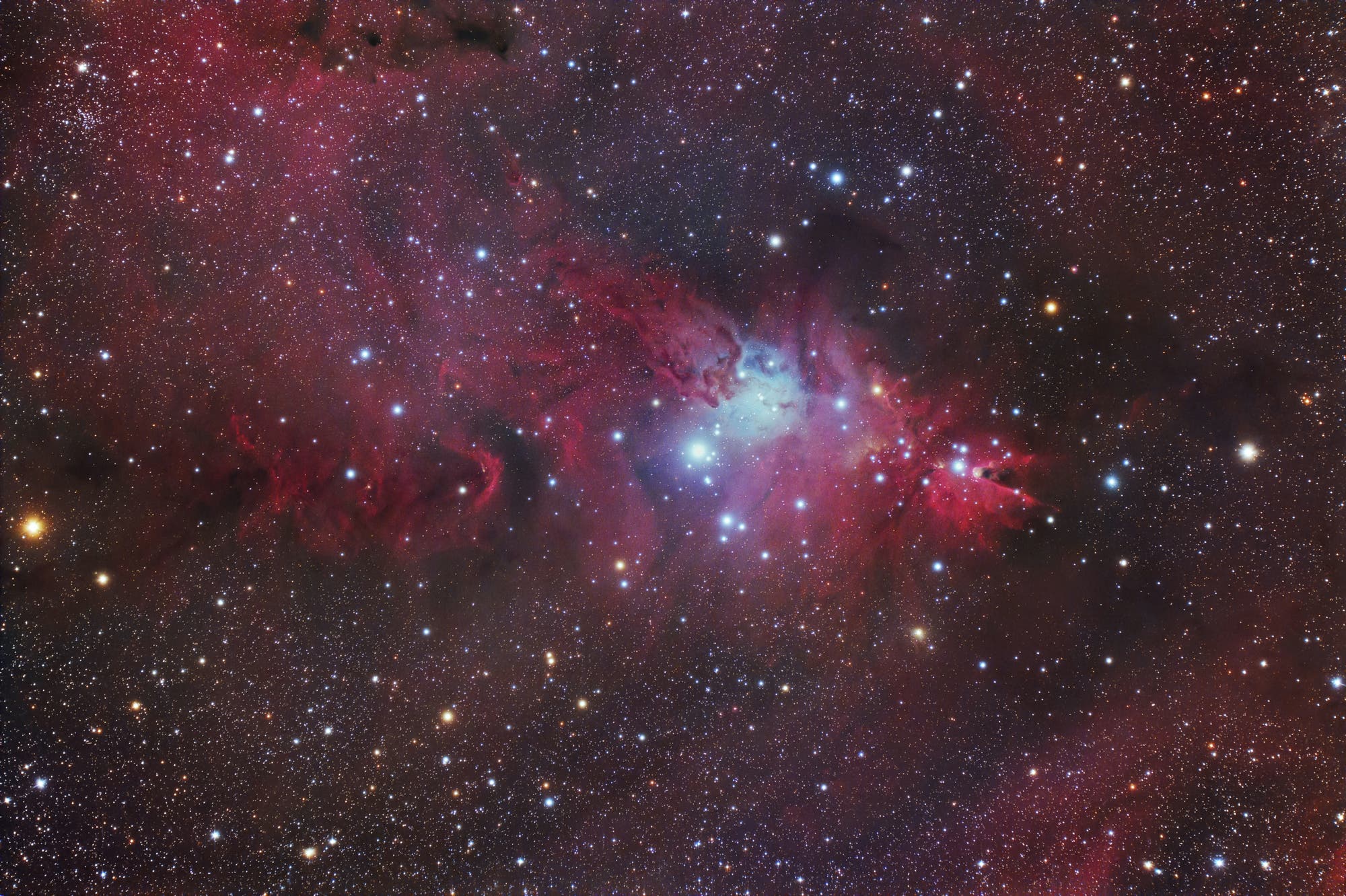 NGC 2264 und der Konusnebel im Sternbild Monoceros