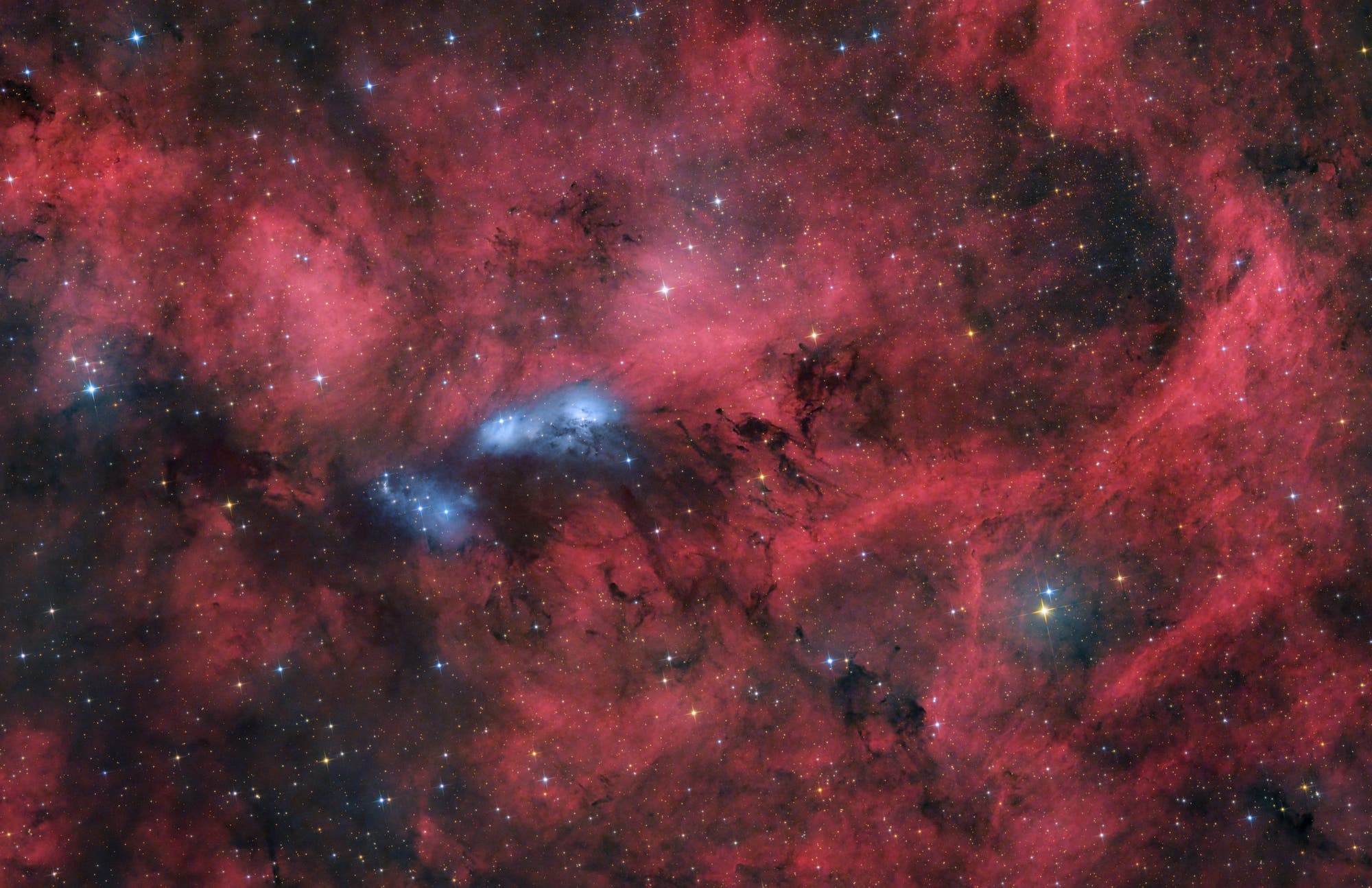 Het gebied rond NGC 6914 in Swan