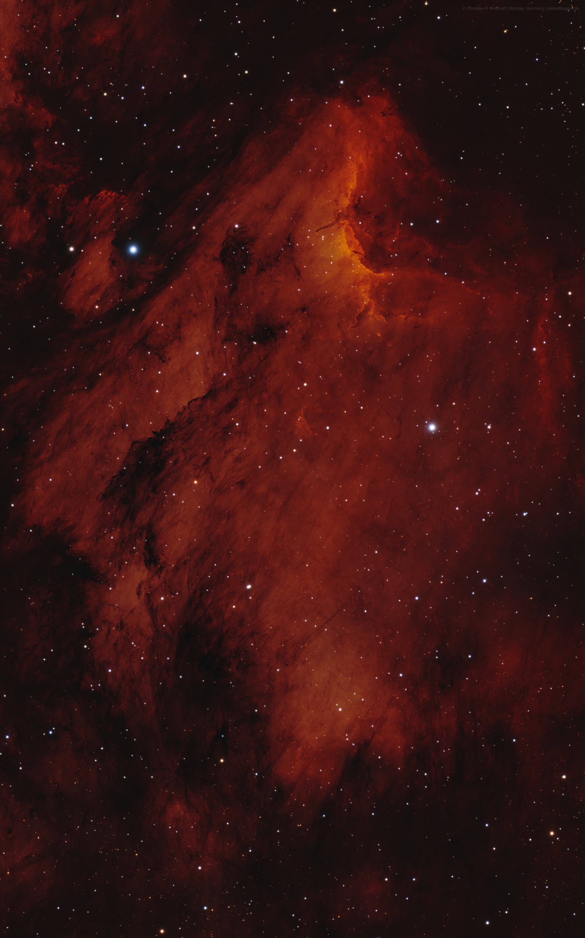 Pelikannebel IC 5070