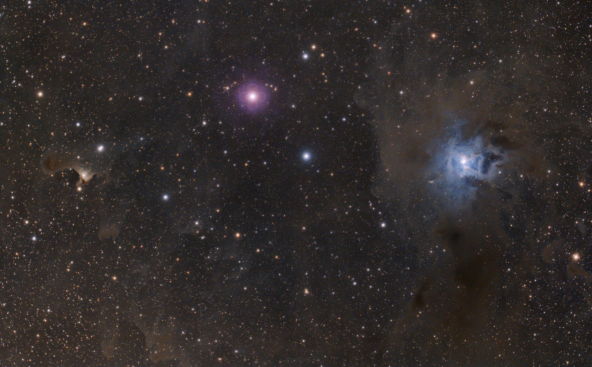 NGC 7023, vdB 141 und T Cephei im Maximum