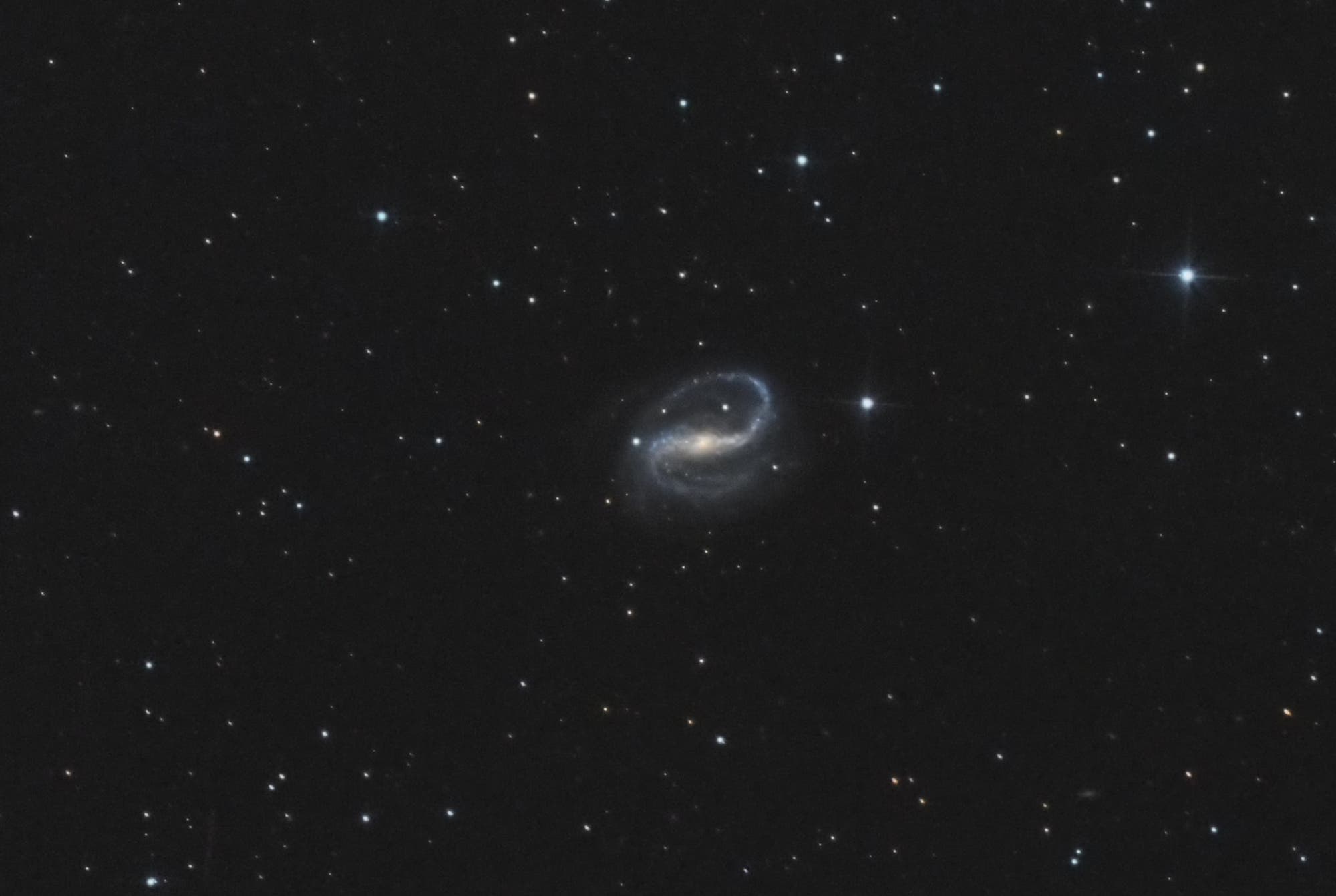 NGC 7479 Propeller-Galaxie