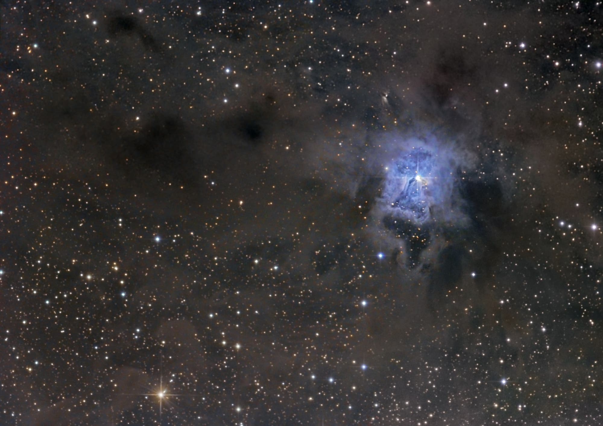NGC 7023 Iris Nebel