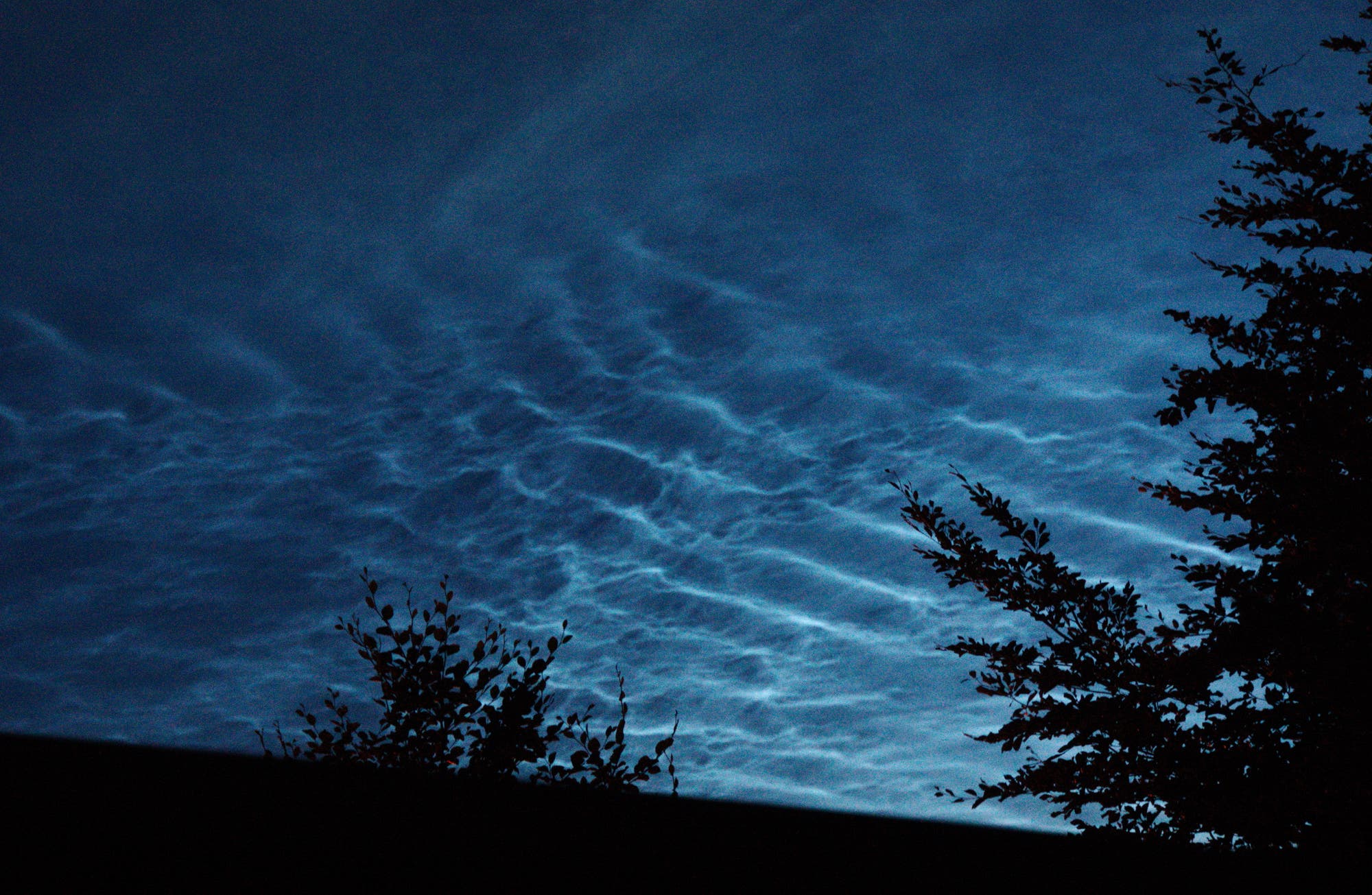 NLC - leuchtende Nachtwolken über der Nordeifel im Hürtgenwald - 2