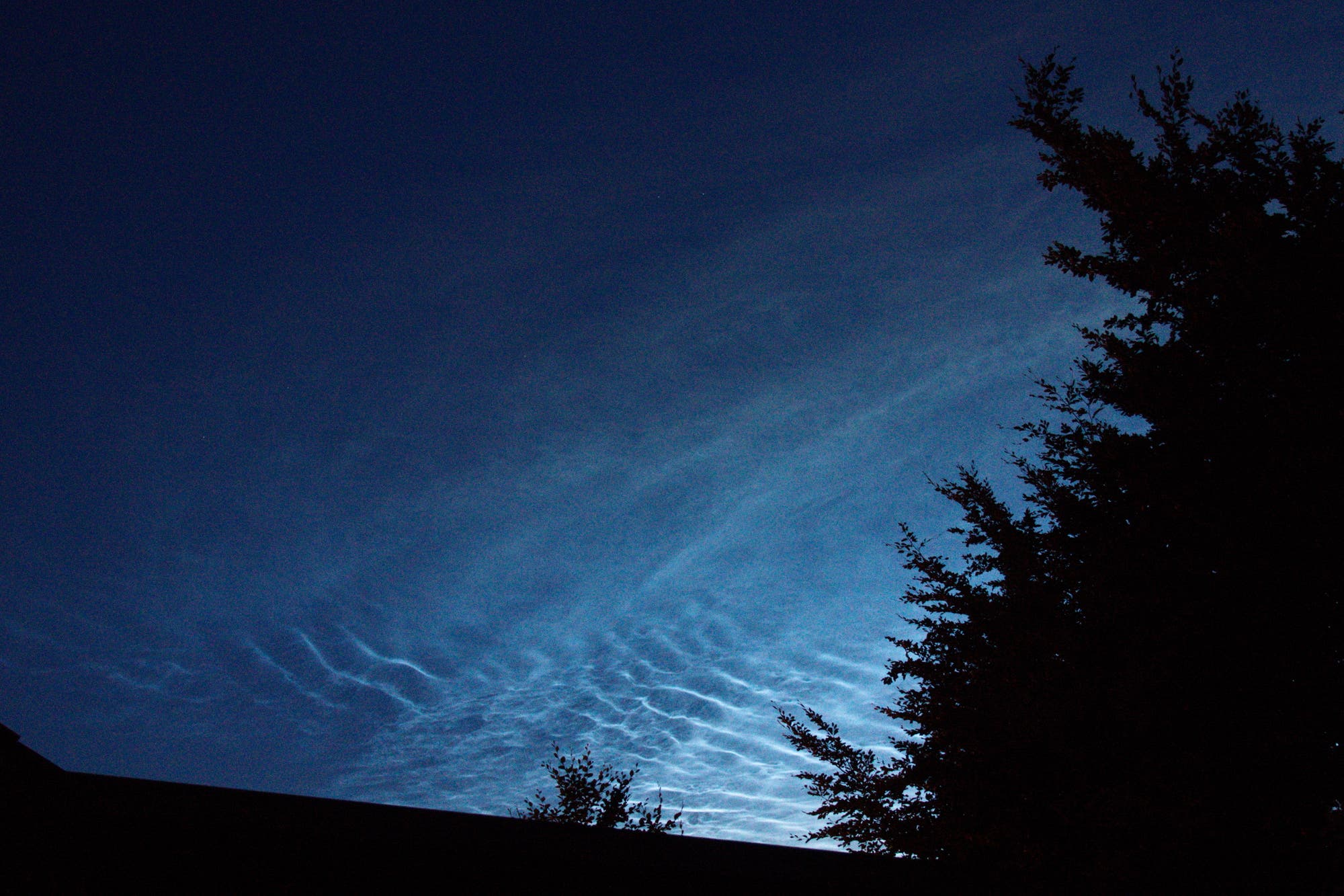 NLC - leuchtende Nachtwolken über der Nordeifel im Hürtgenwald - 3