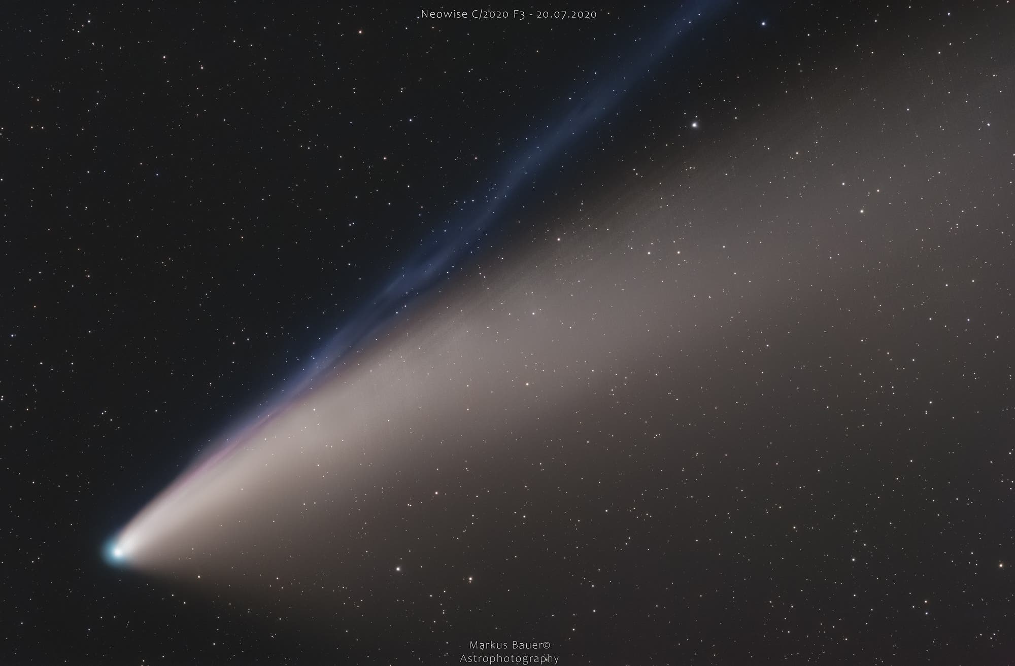 Komet Neowise - Closeup