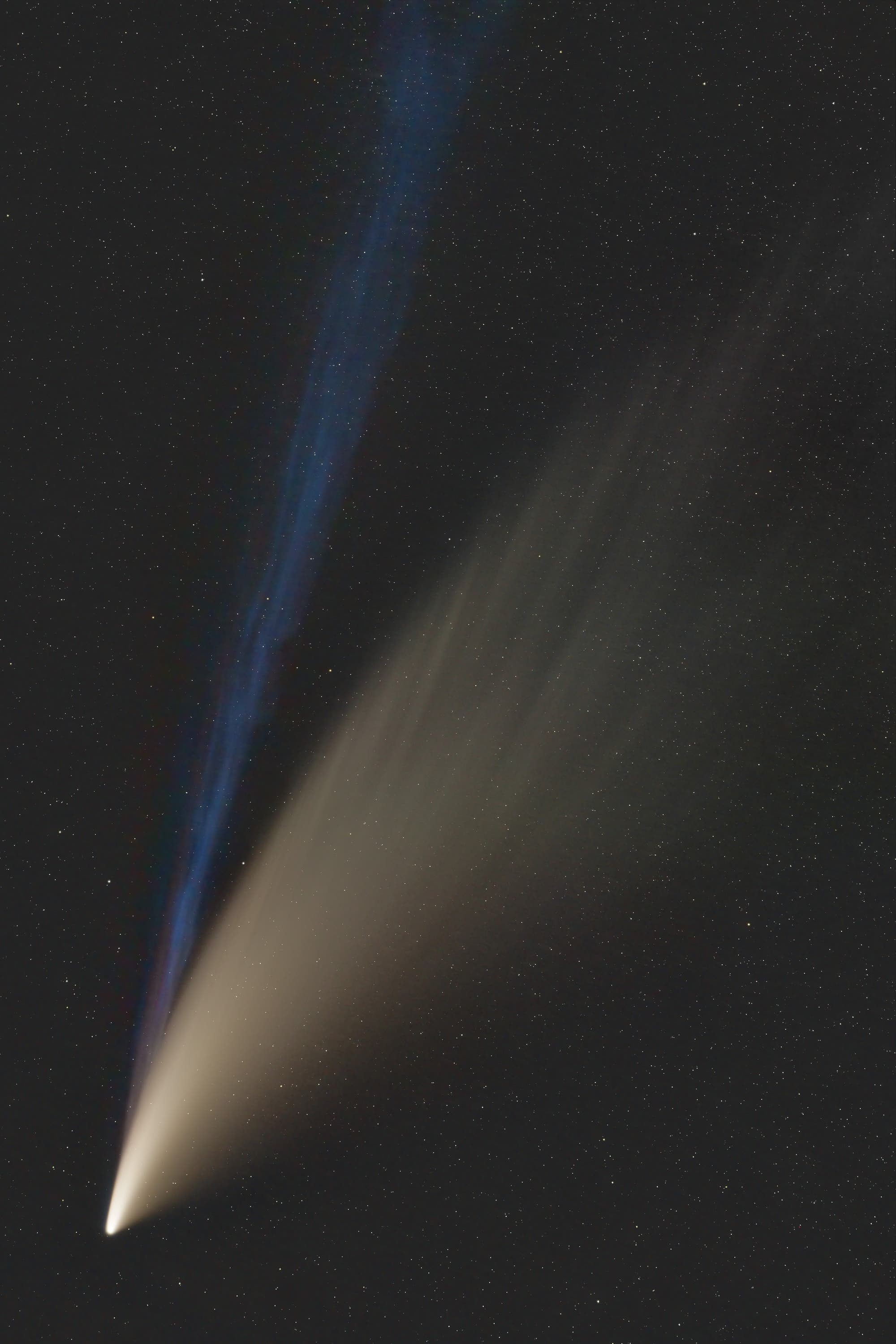 NEOWISE mit Ionenschweif (Neubearbeitung)