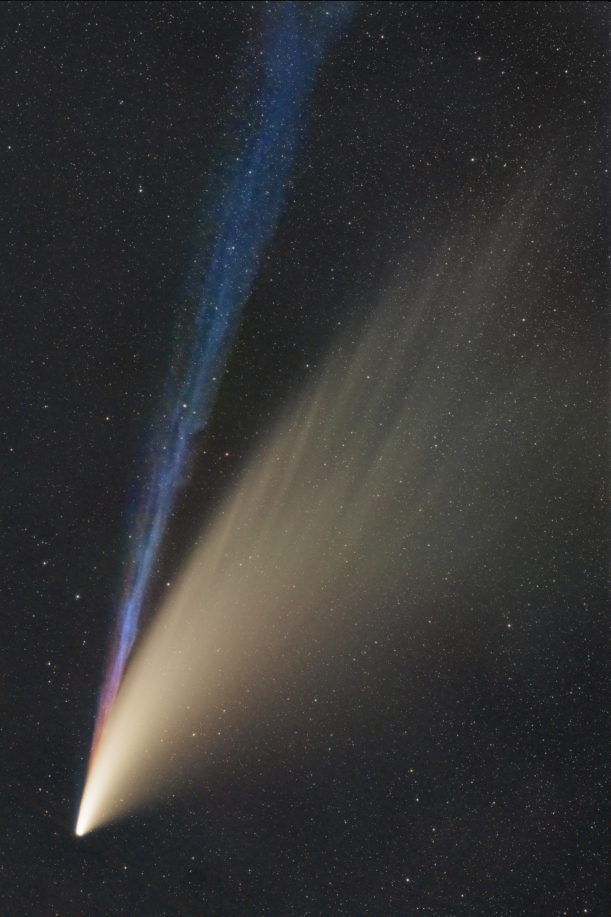 NEOWISE mit Ionenschweif