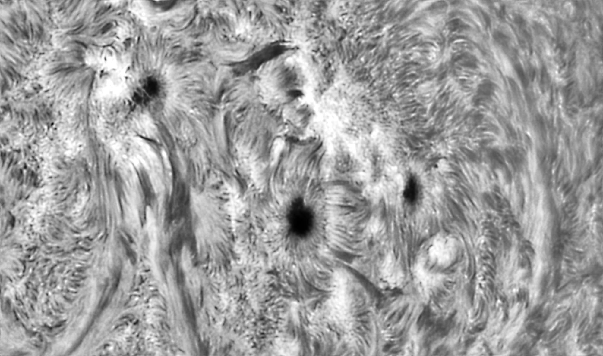 Strukturen der Sonnenfleckengruppe 2685