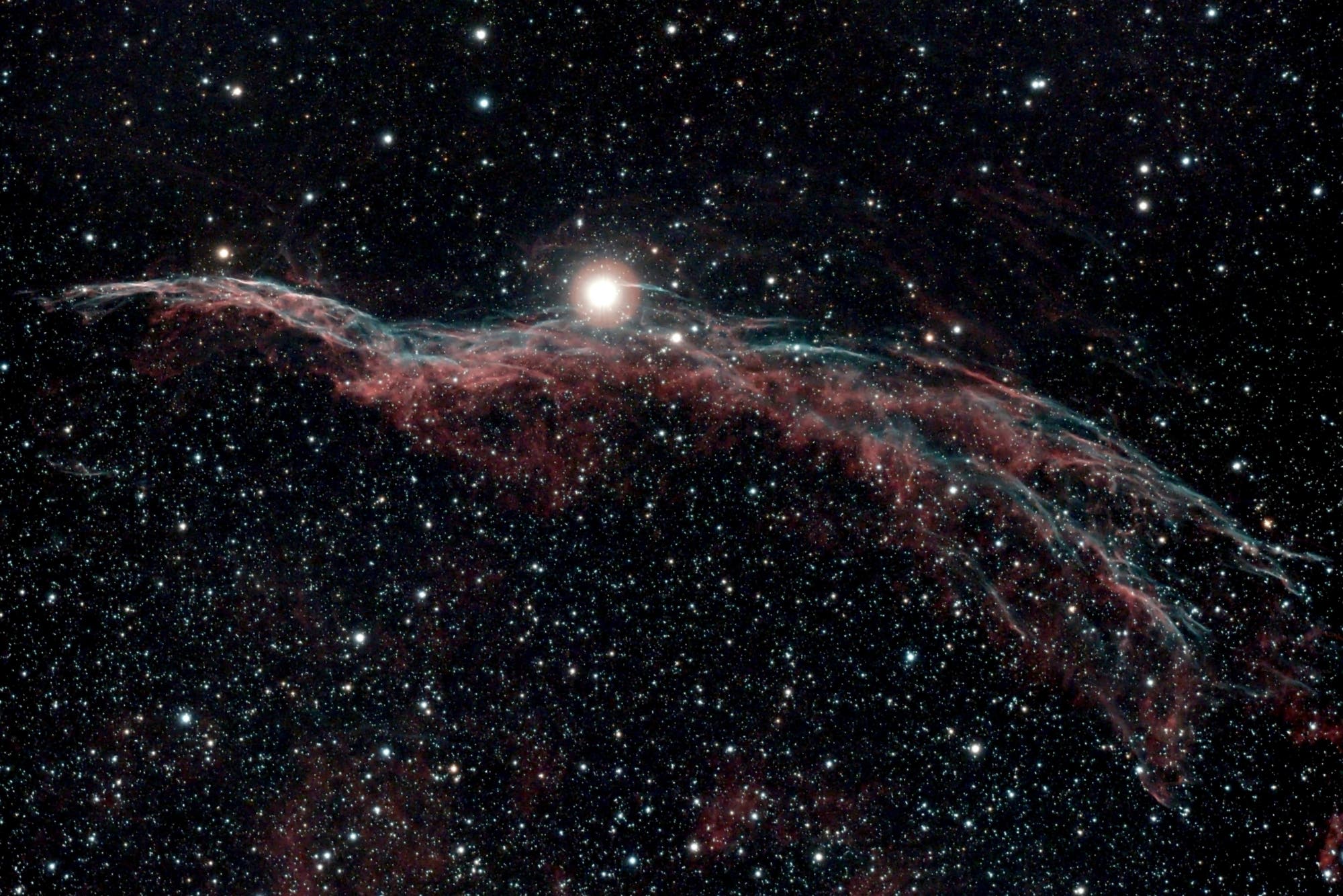 Sturmvogel NGC 6960