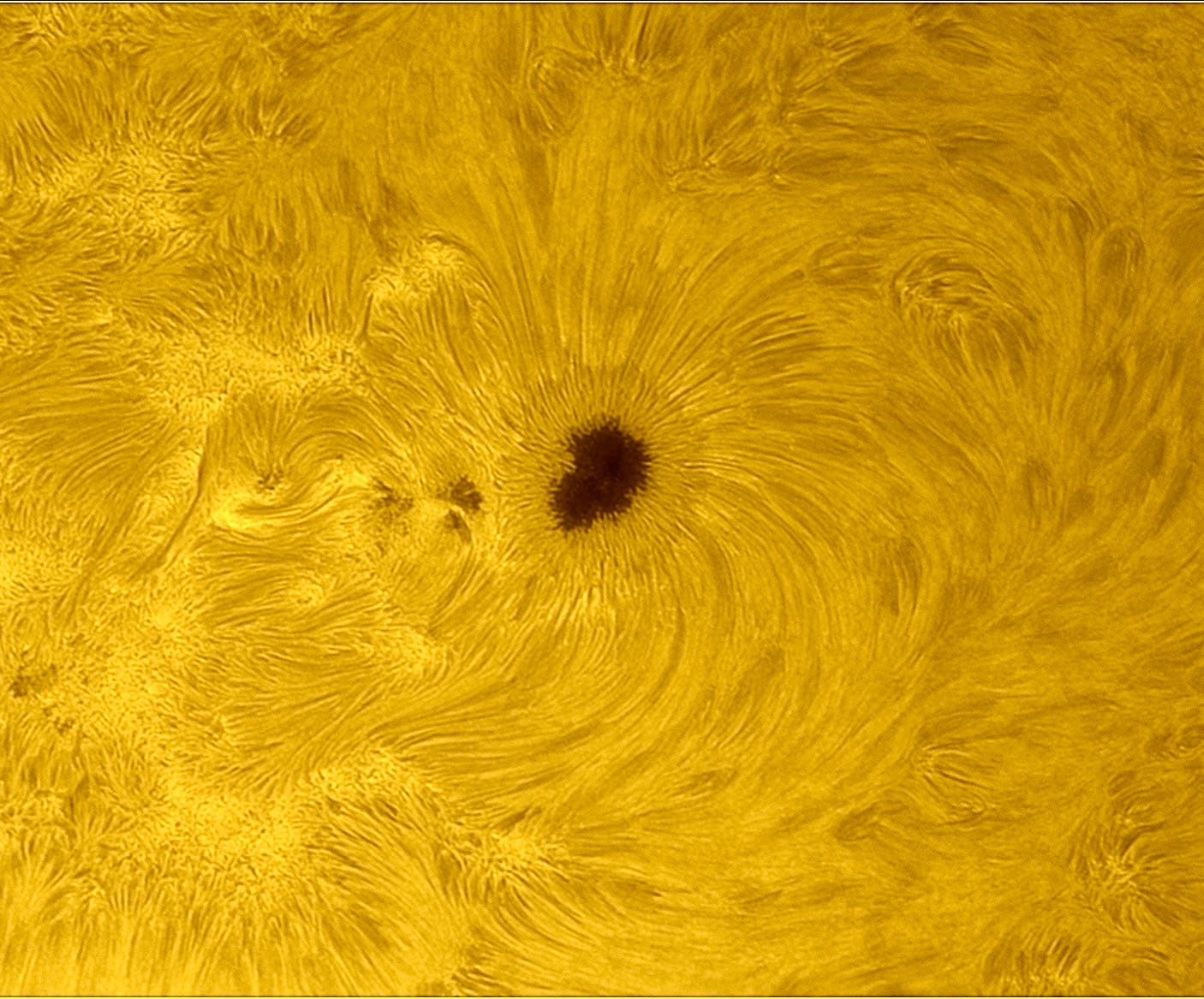 Region AR 4191 in H-alpha