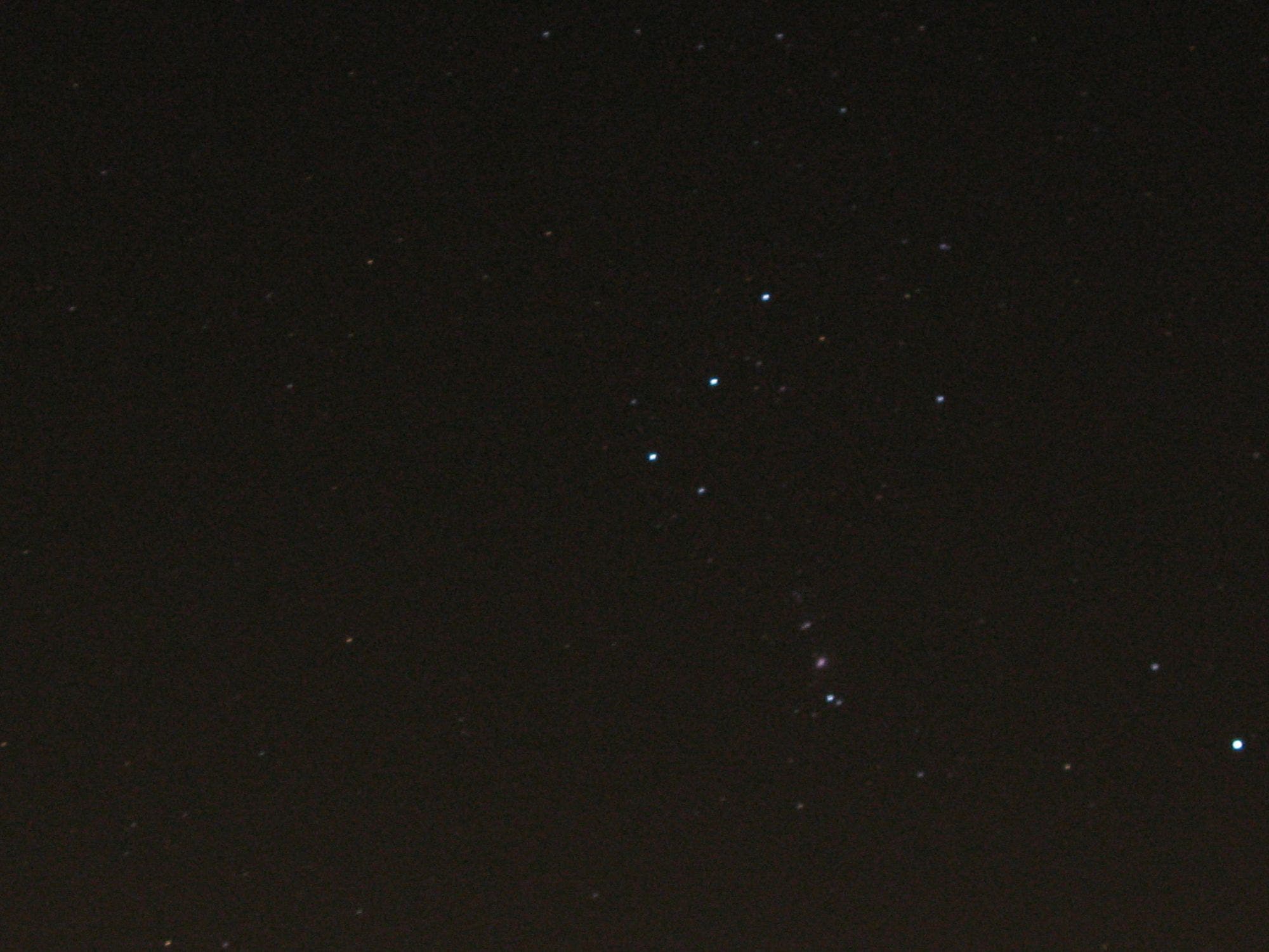 Orionsternbild