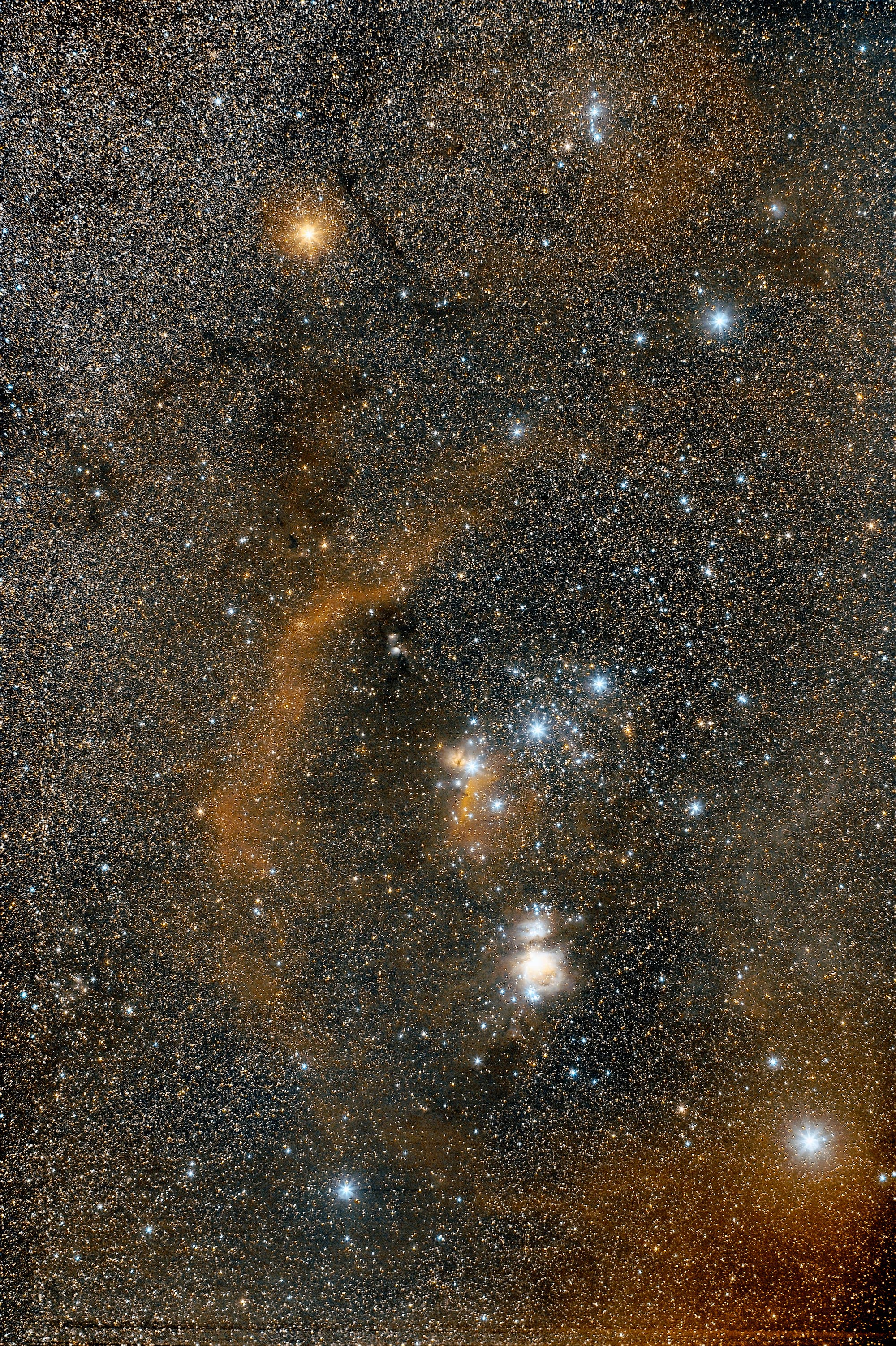 Sternbild Orion