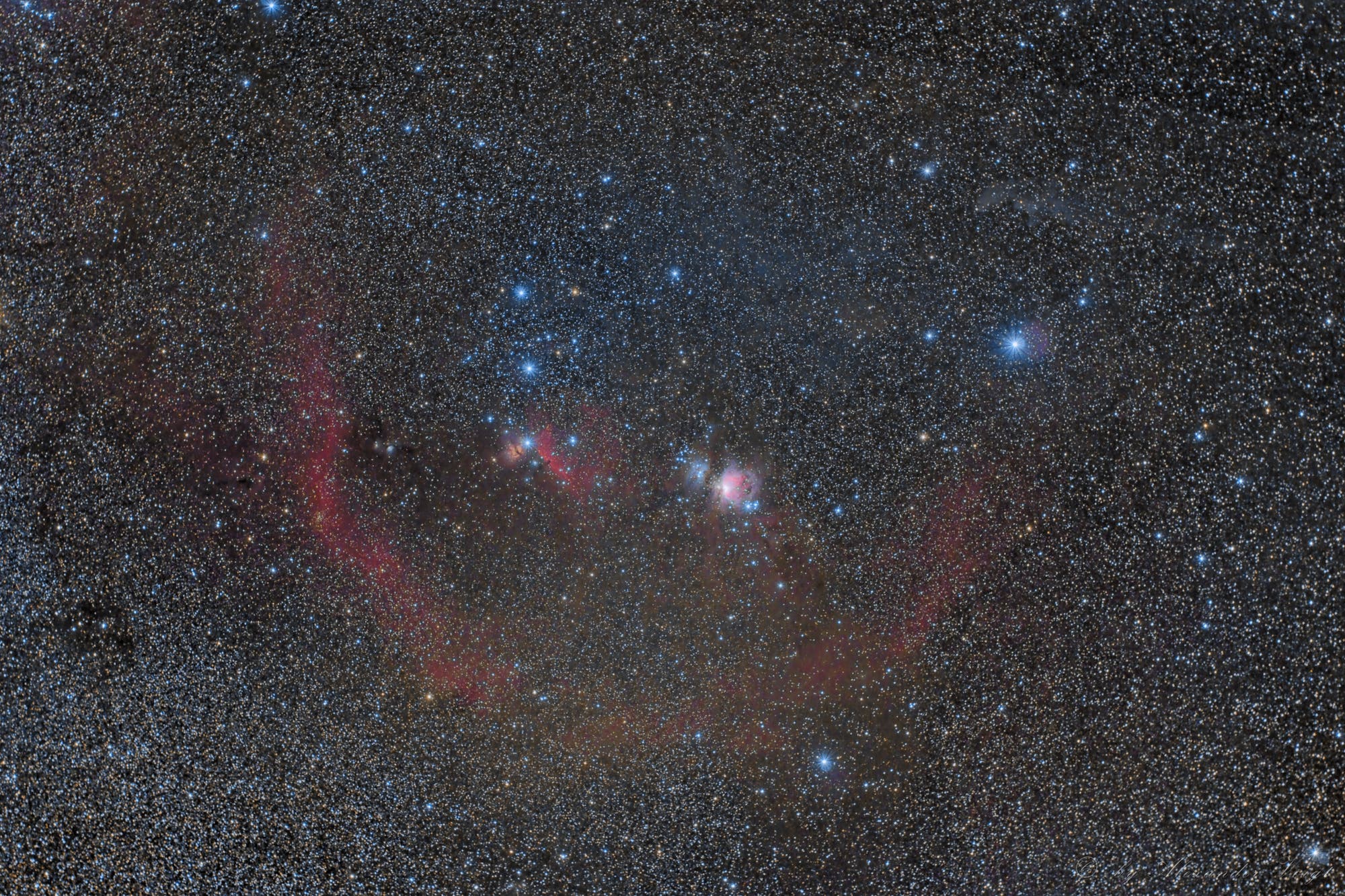 Widefield Orion