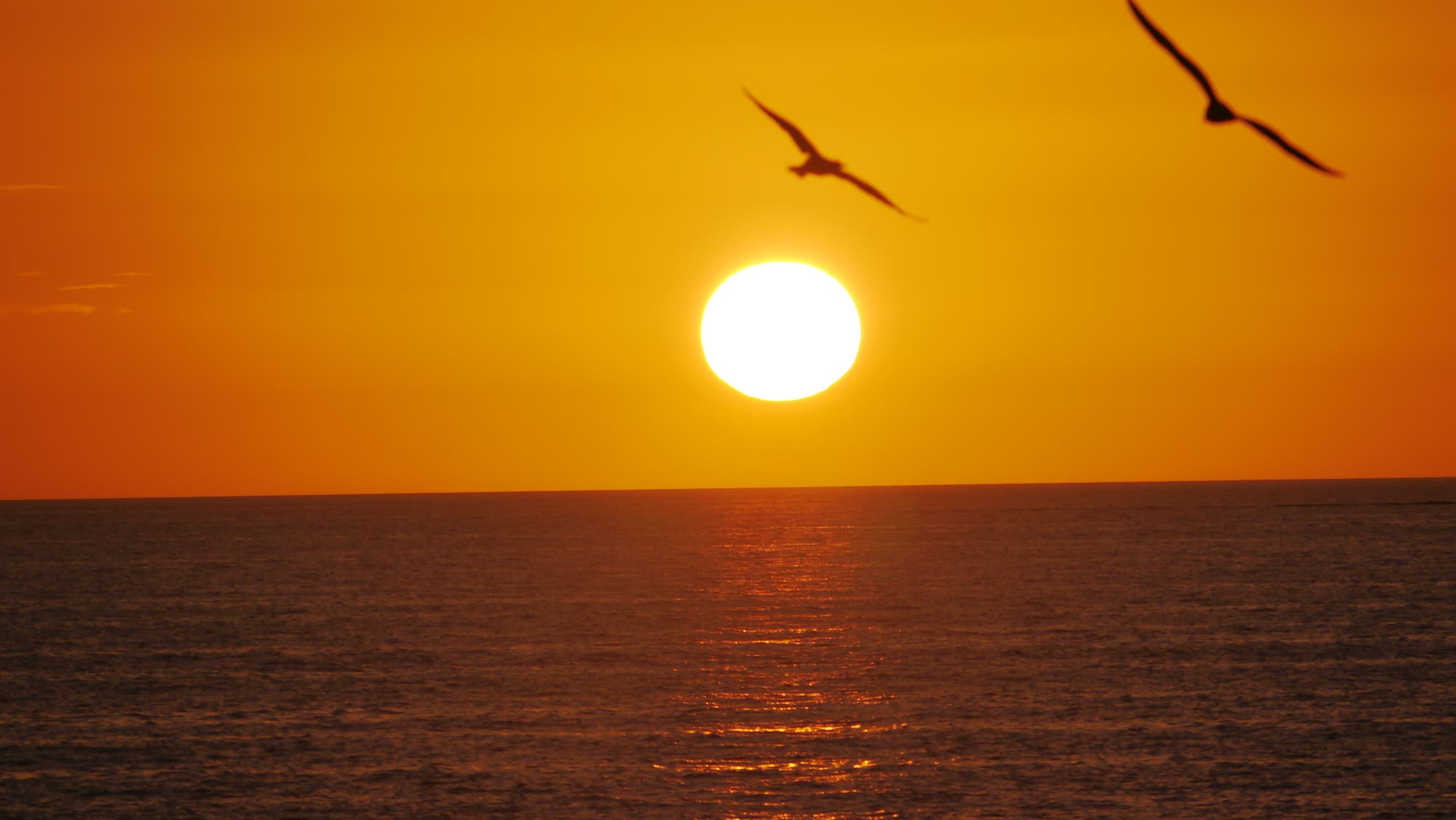 Sonnenuntergang am Strand von Naples/Florida