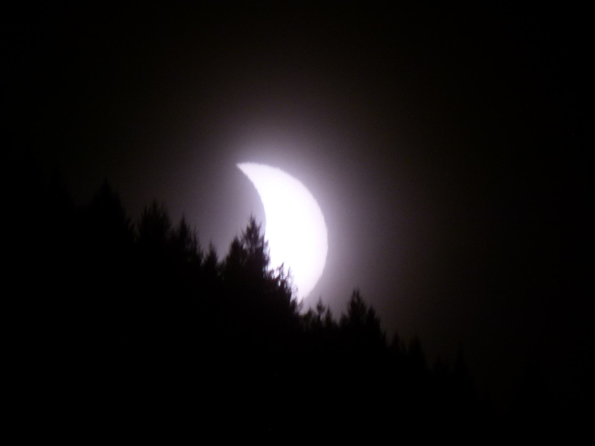 Sonnenfinsternis über dem Schwarzwald - Bild 2