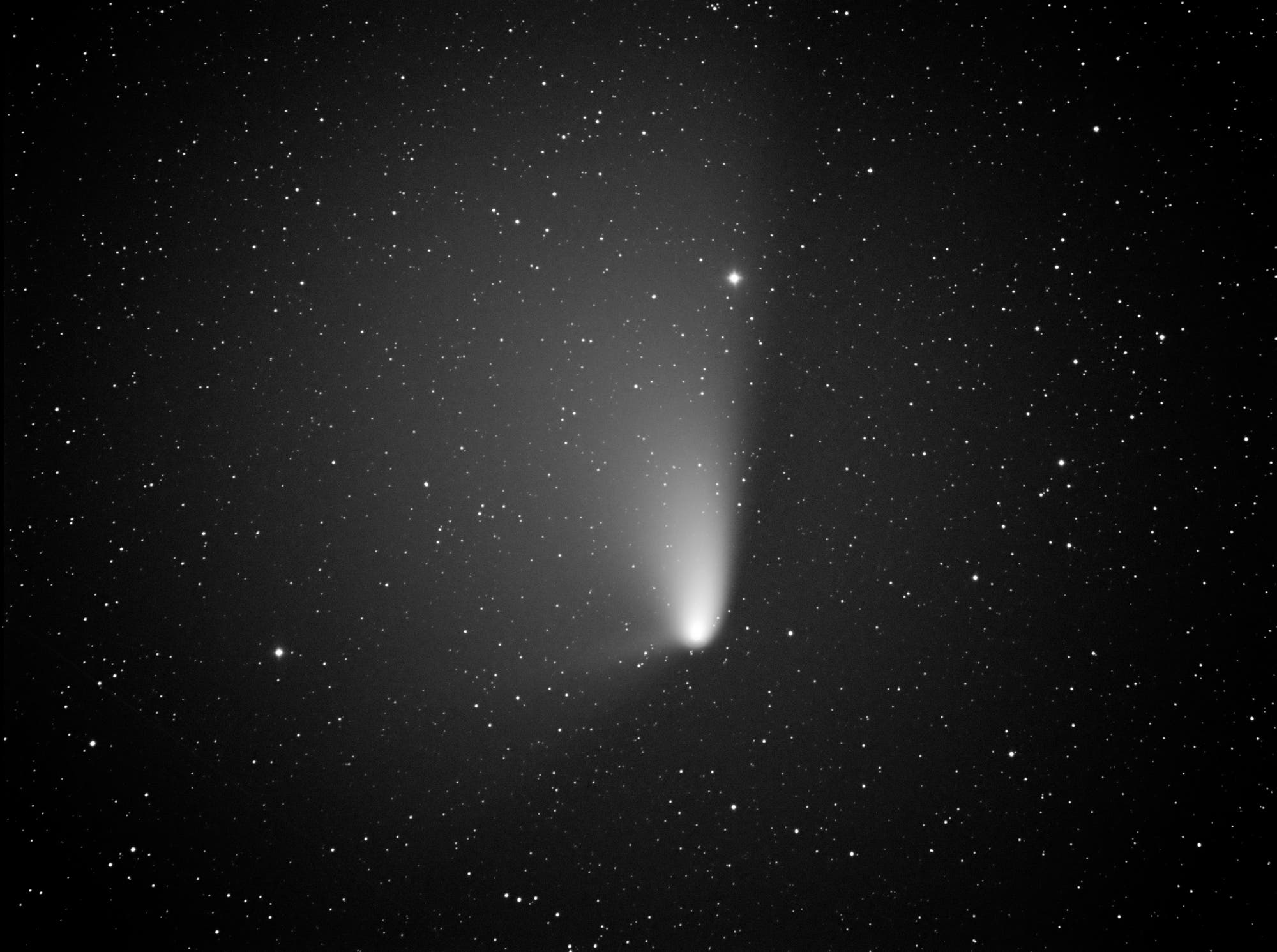 Komet PANSTARRS am Morgenhimmel
