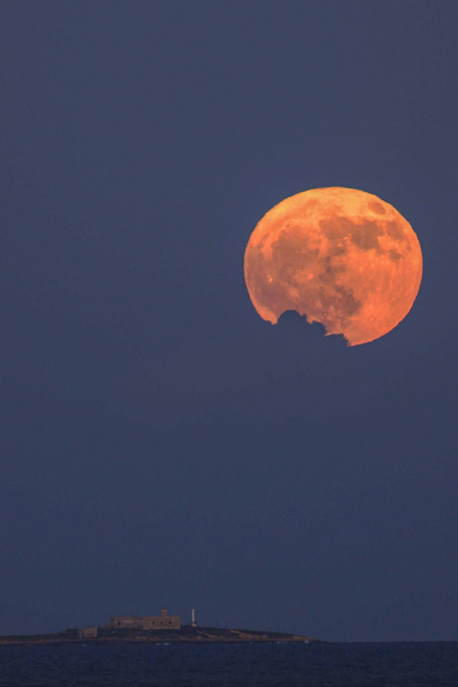 Second shot / Full deer moon