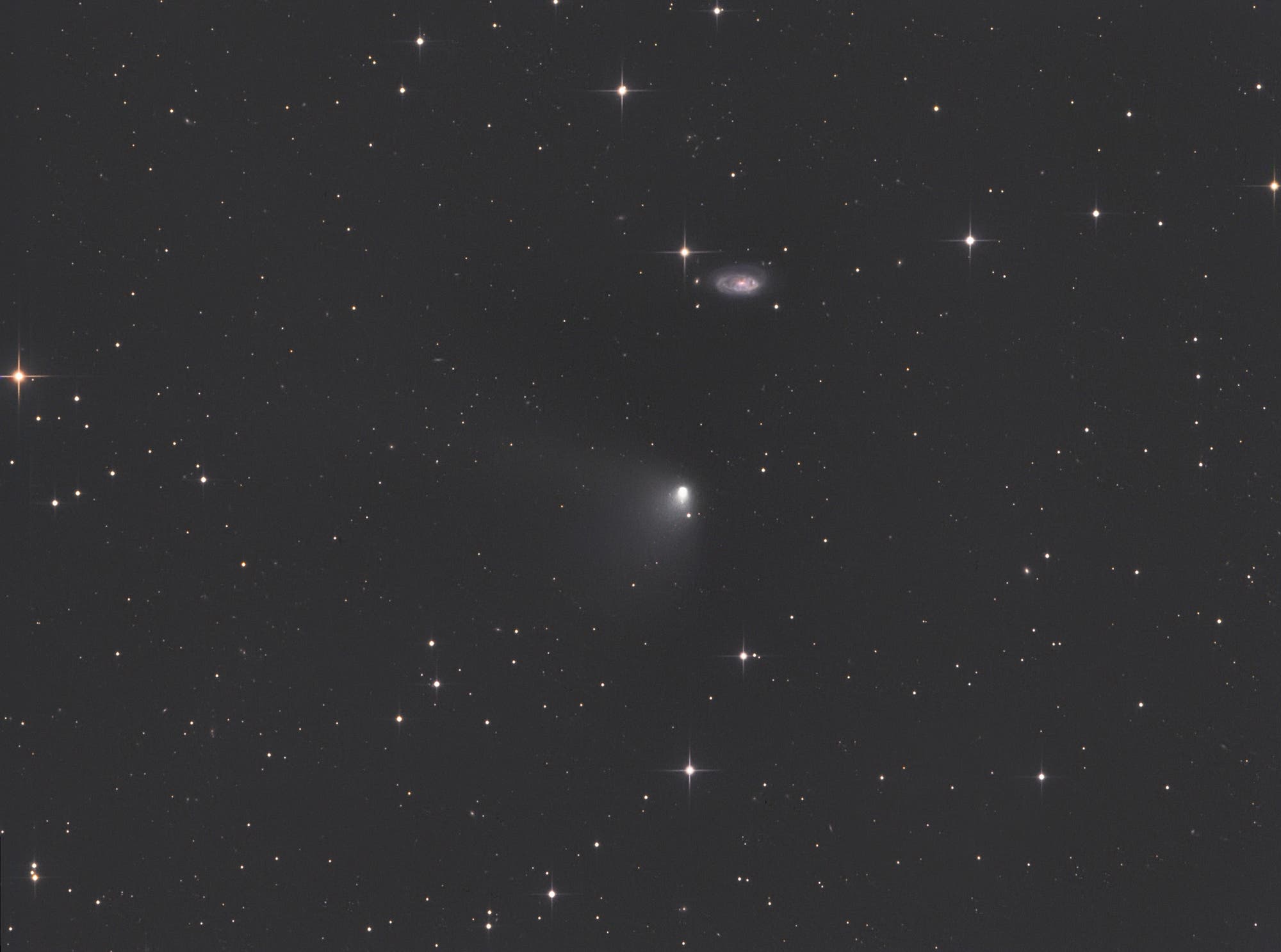 Komet C/2011 L4 (PANSTARRS) bei Galaxie NGC 5678