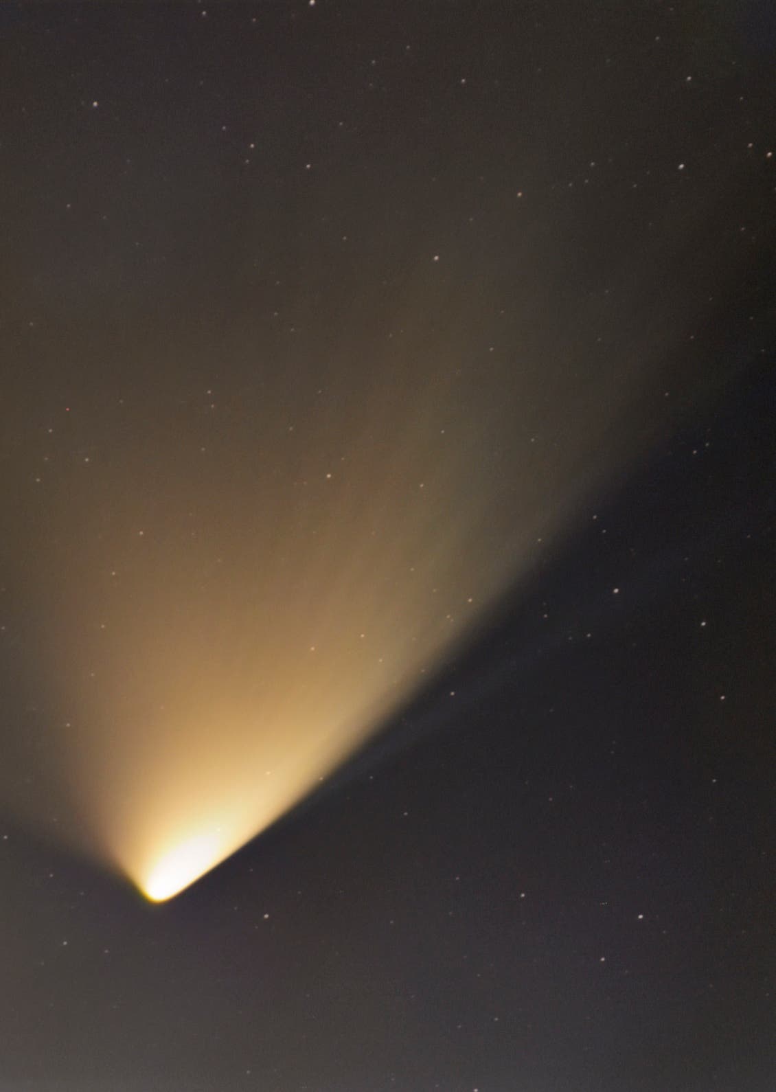 Komet C/2011 L4 PANSTARRS mit Schweifstrukturen