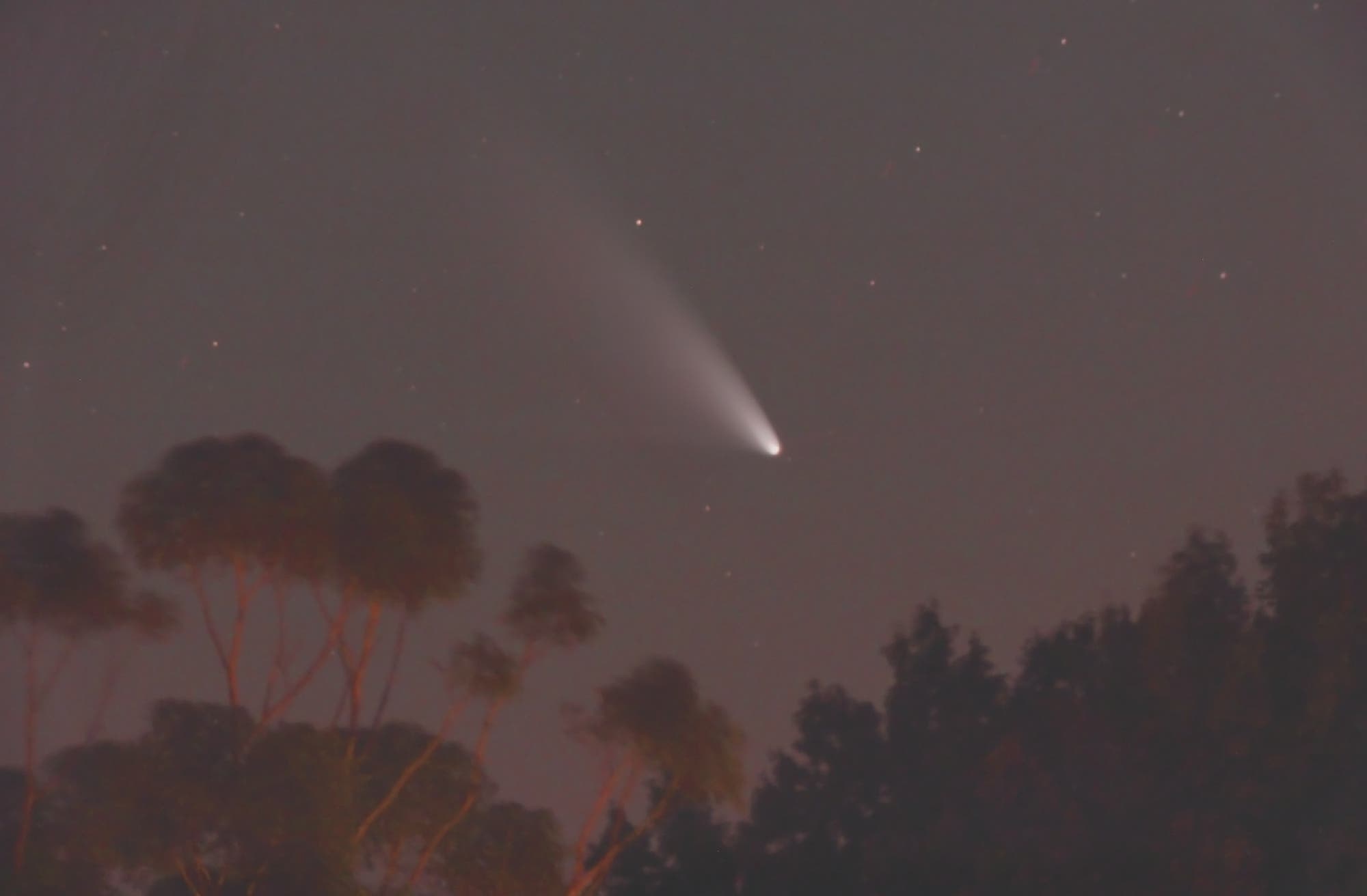 Komet Panstarrs am Horizont